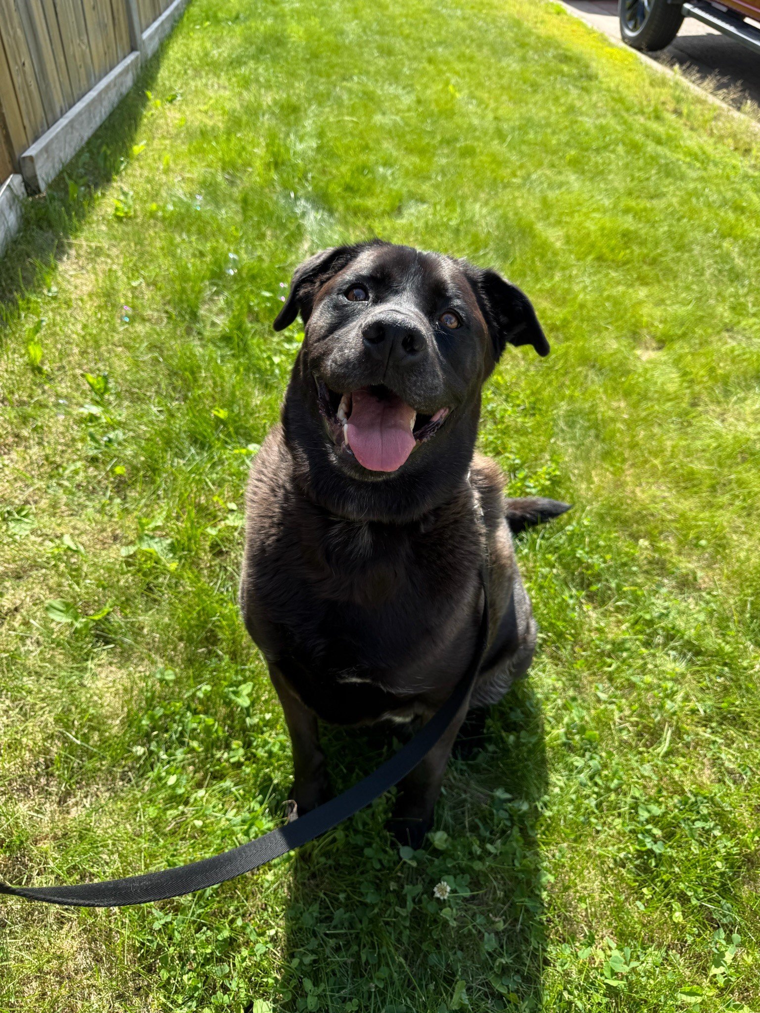 Odin