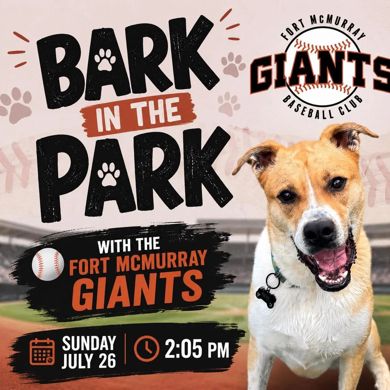 Join adoptable Bicks tomorrow at Bark in the Park with the Fort McMurray Giants! ⚾️🐾

Bicks will be at the ballpark, ready to make new furiends, soak up all the attention, and maybe even meet the family he&rsquo;s been waiting for. ❤️

Bring your pu