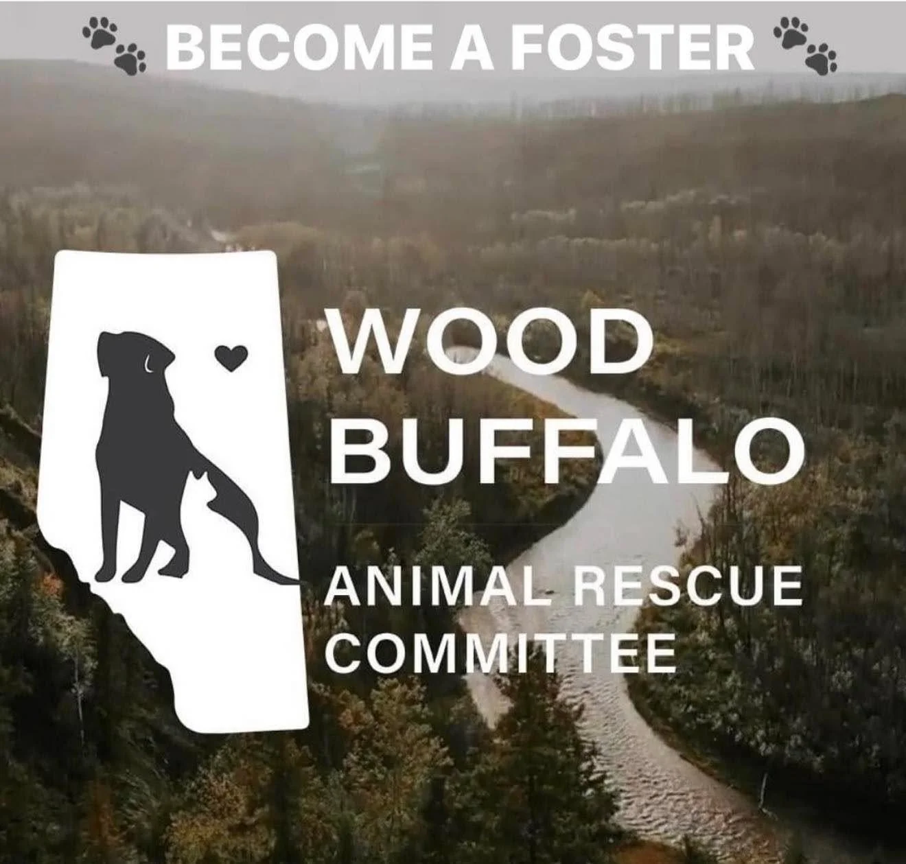 🚨 FOSTERS URGENTLY NEEDED 🚨

Summer is always one of the most challenging times of year for us to find foster homes, as many families are away on vacation. Right now, we urgently need a foster home for a mama dog and puppies. 

If you&rsquo;ve ever