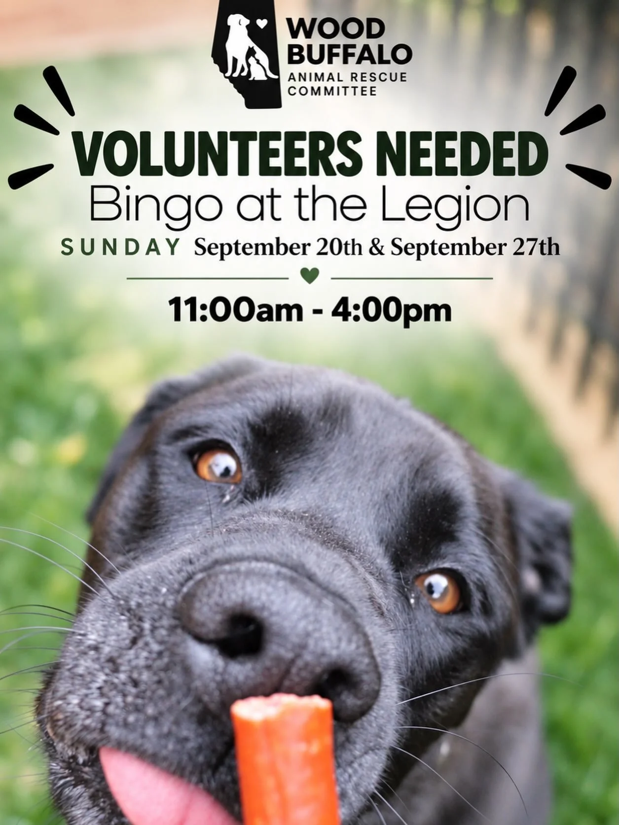 🐾 We&rsquo;re looking for volunteers!

WBARC needs a few helping hands for our upcoming Sunday Bingo events at the Legion on September 20 &amp; September 27.

Volunteering at Bingo is a simple way to give your time while directly supporting the work