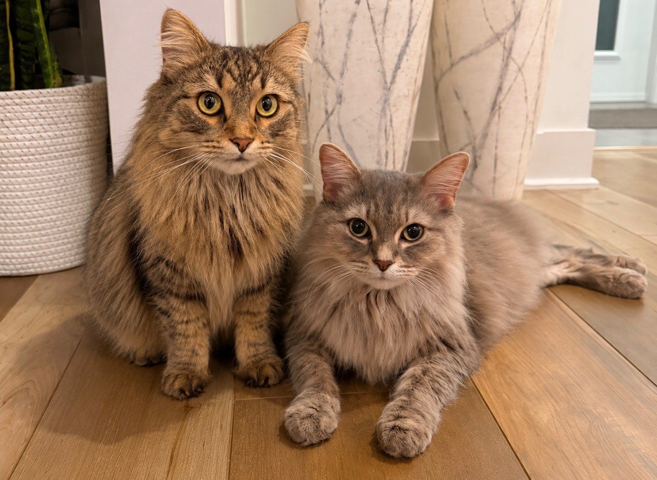 Pia &amp; Shiloh