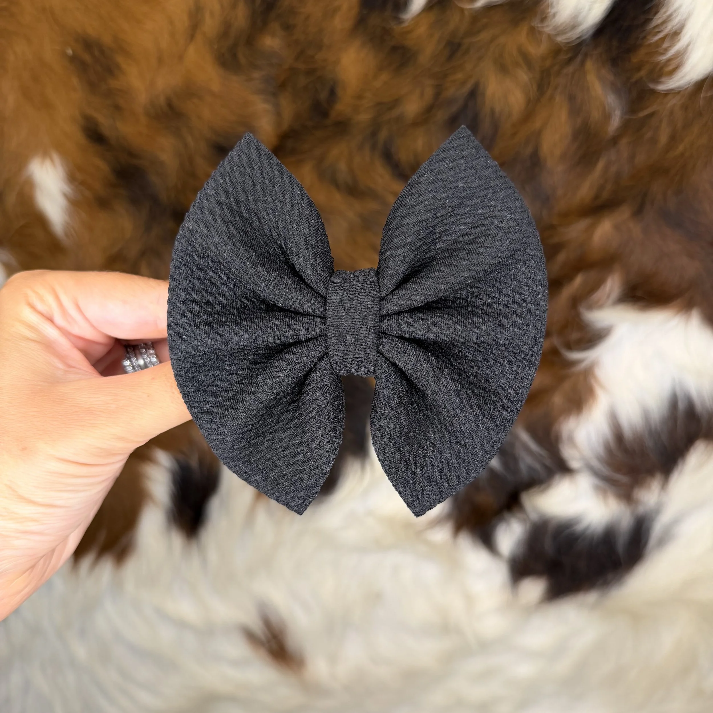 IMG_1868.jpeg