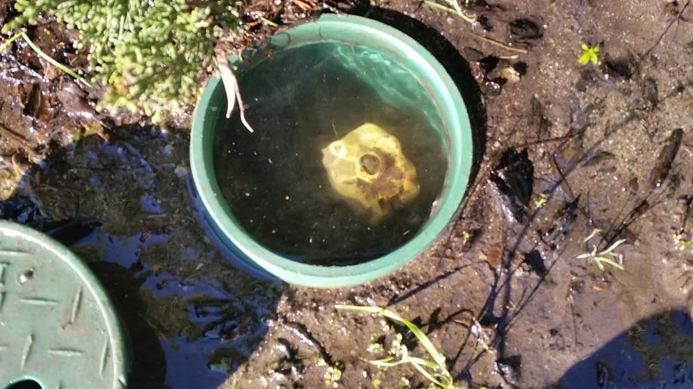 Gallery 1 — Irritech Sprinkler Repair