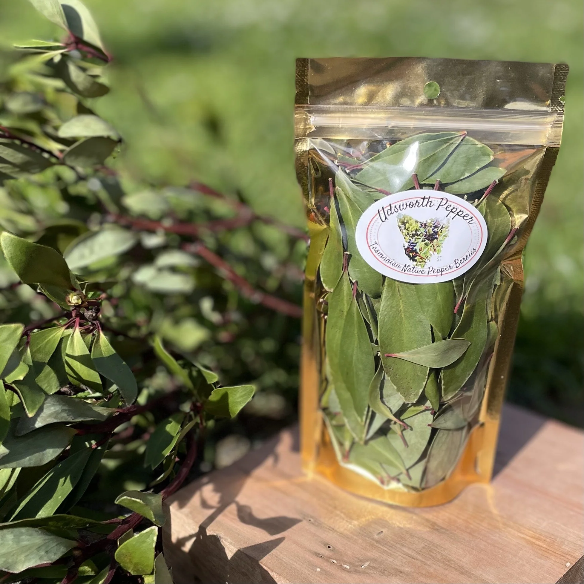 Tasmanian Pepper Leaf - 20g
