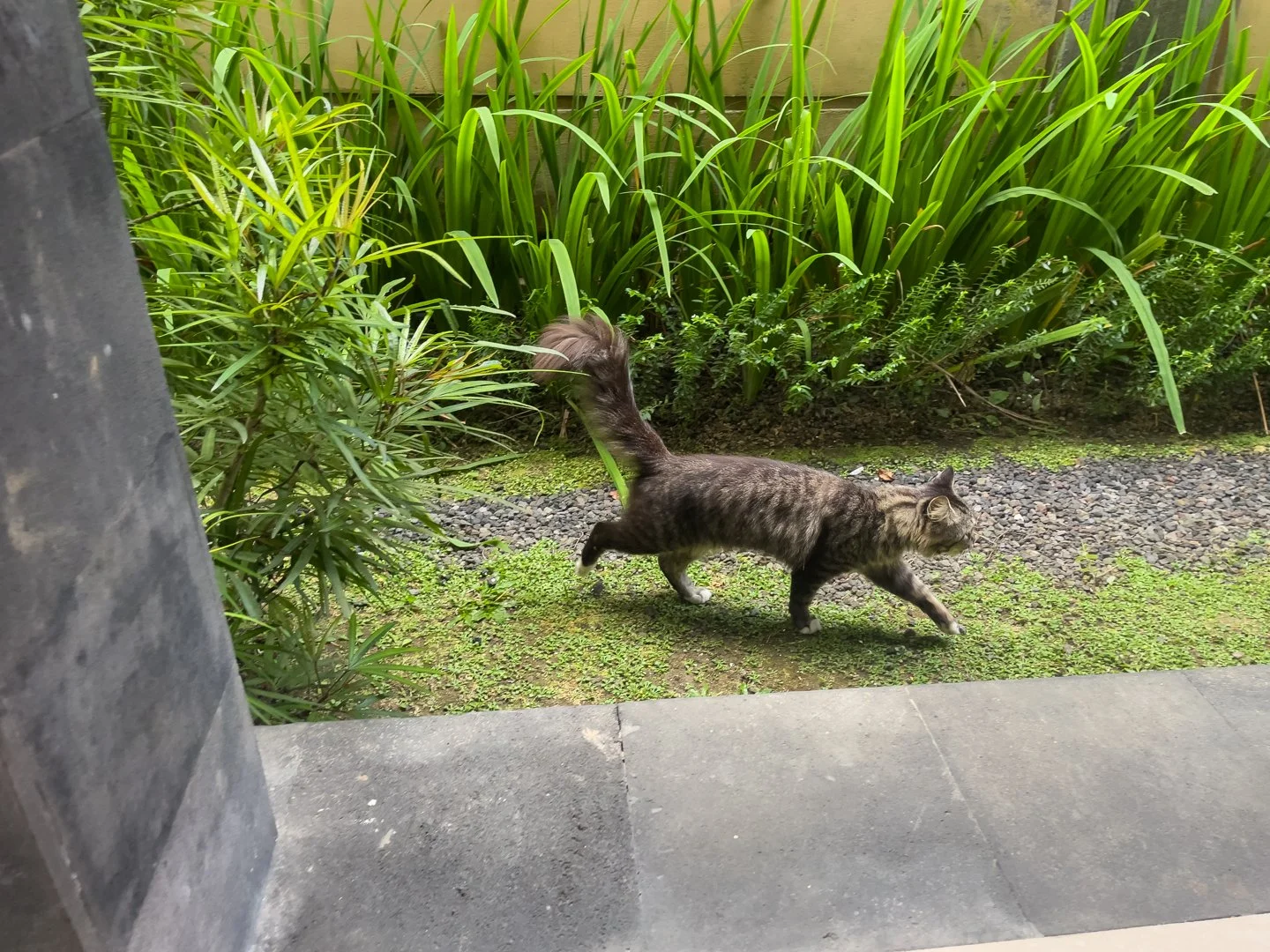 Tag Drei in Ubud: Eine verregnete Pause