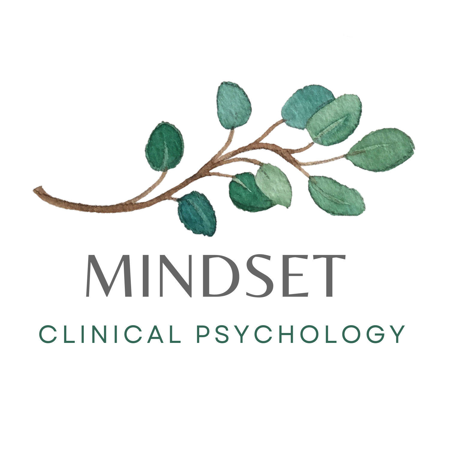Mindset Clinical Psychology