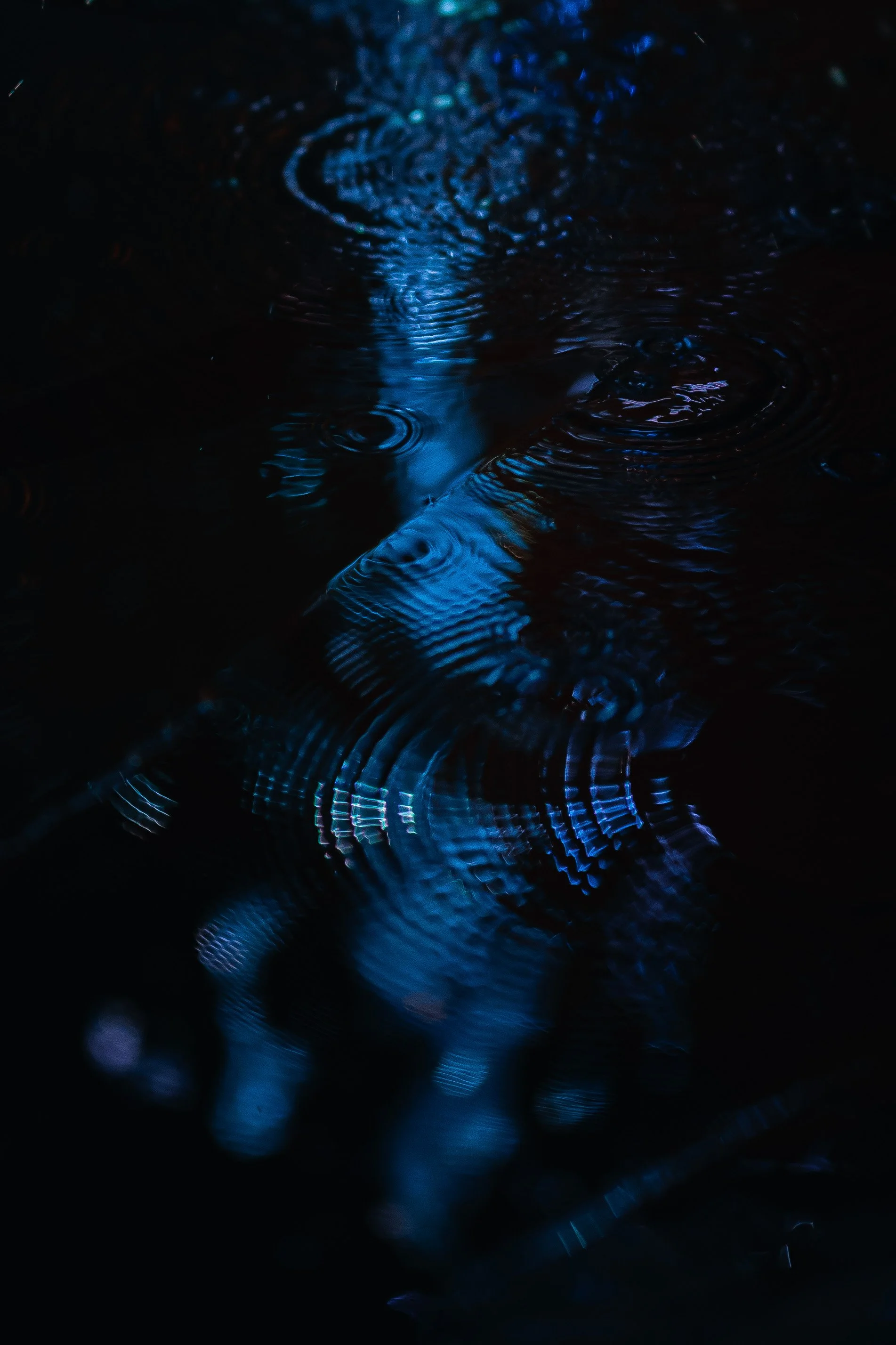 7O8A5758.jpg