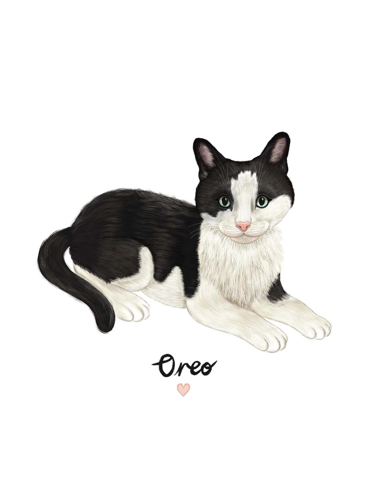 Commission of the beloved Oreo 🐈&zwj;⬛💕

Commissions are open - please email me or there is more information on my website, link is in my bio ✨

#commissions #commissionsopen #petportrait #animalillustration #catillustration