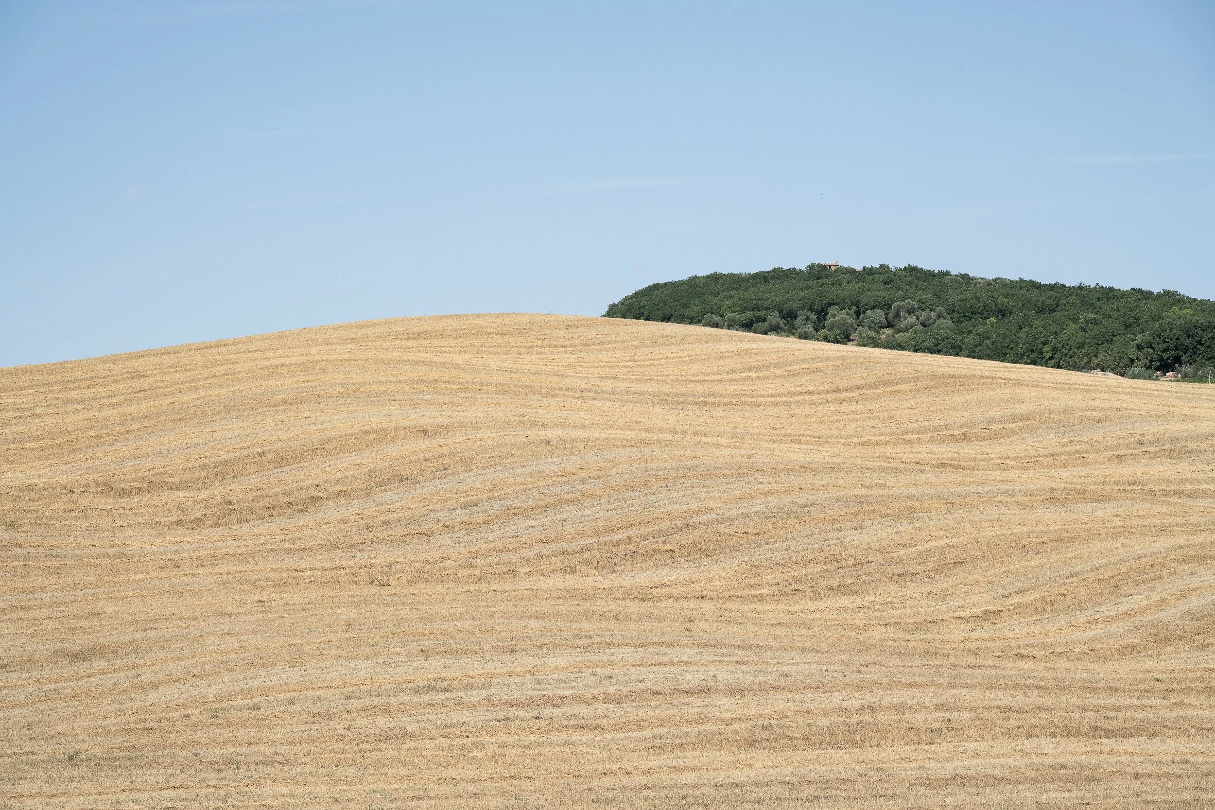 Toscana_2024-721193.jpg