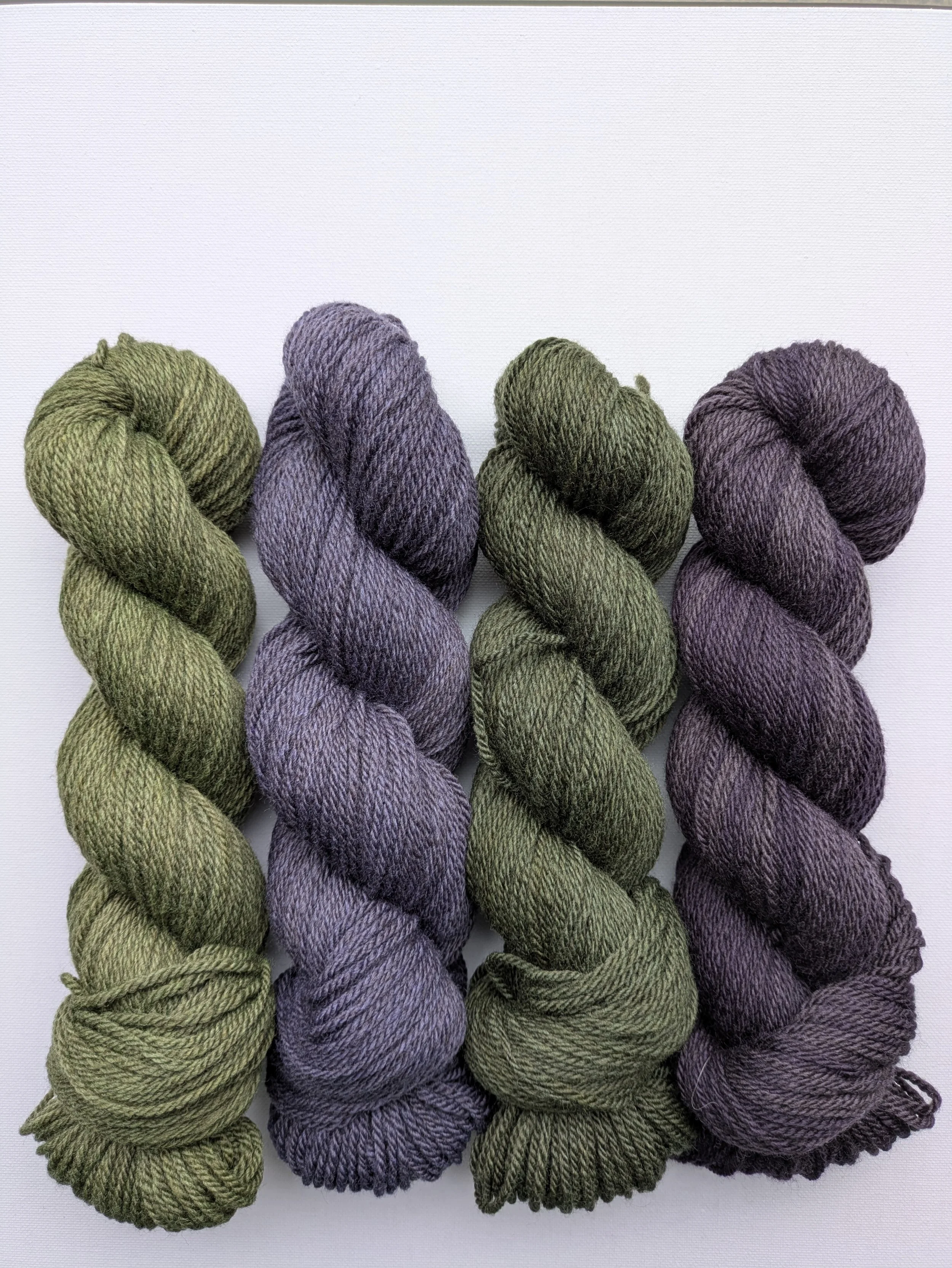 Bendigo Polwarth Pre-Order