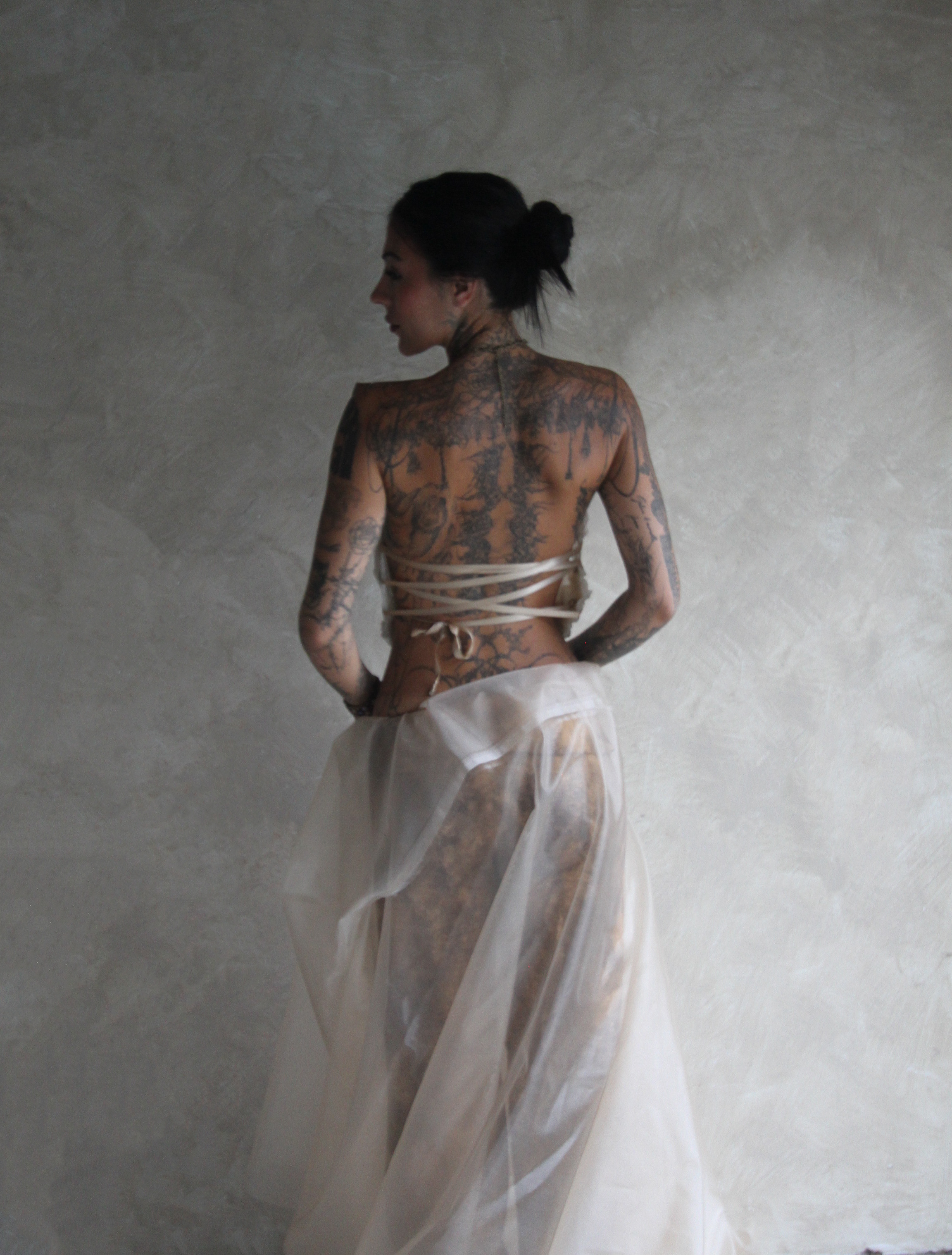 PHOTO SHOPP 3 FERN BACK .png