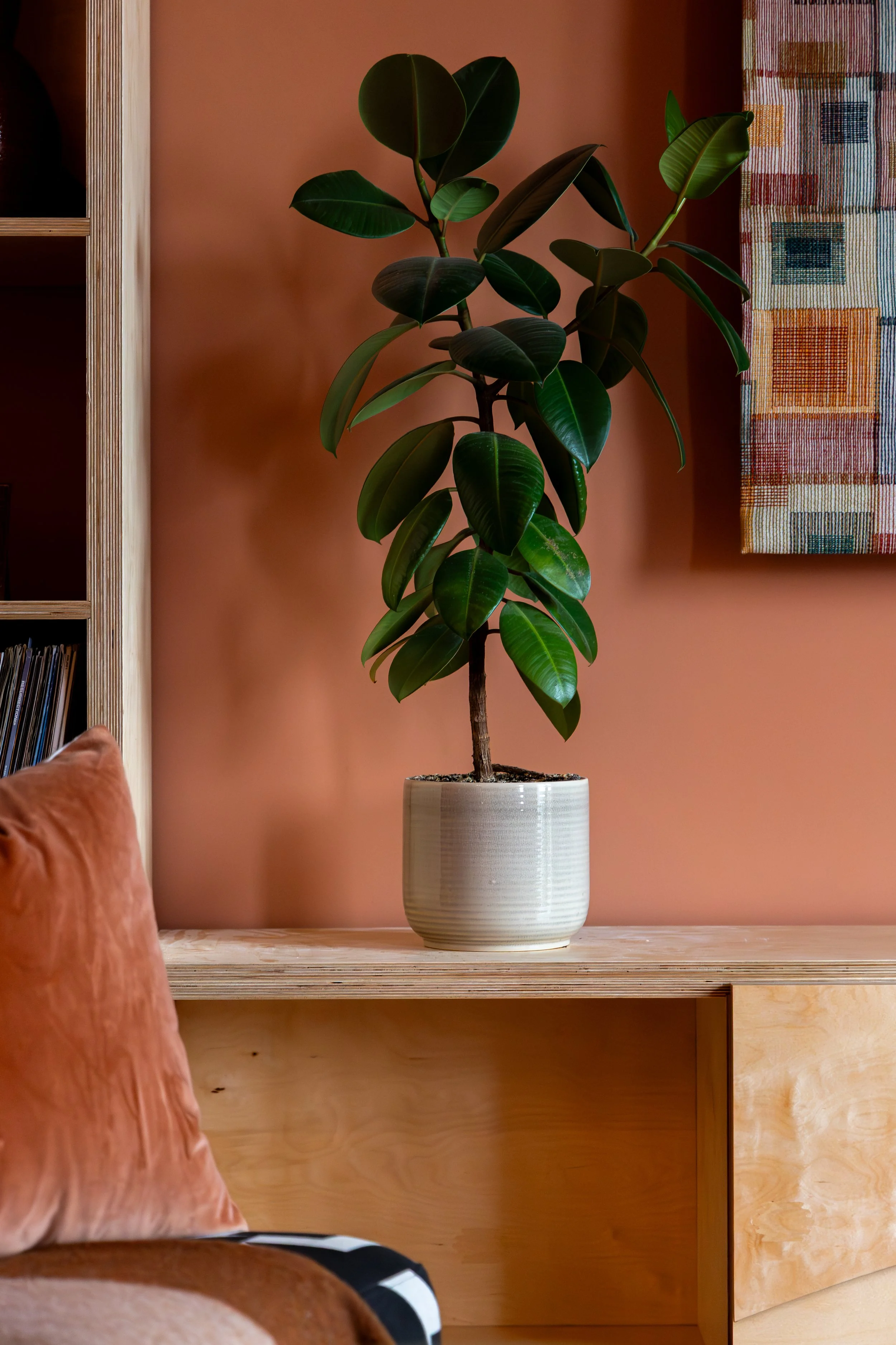 4J6A1002WandleRoad.Highres.jpg