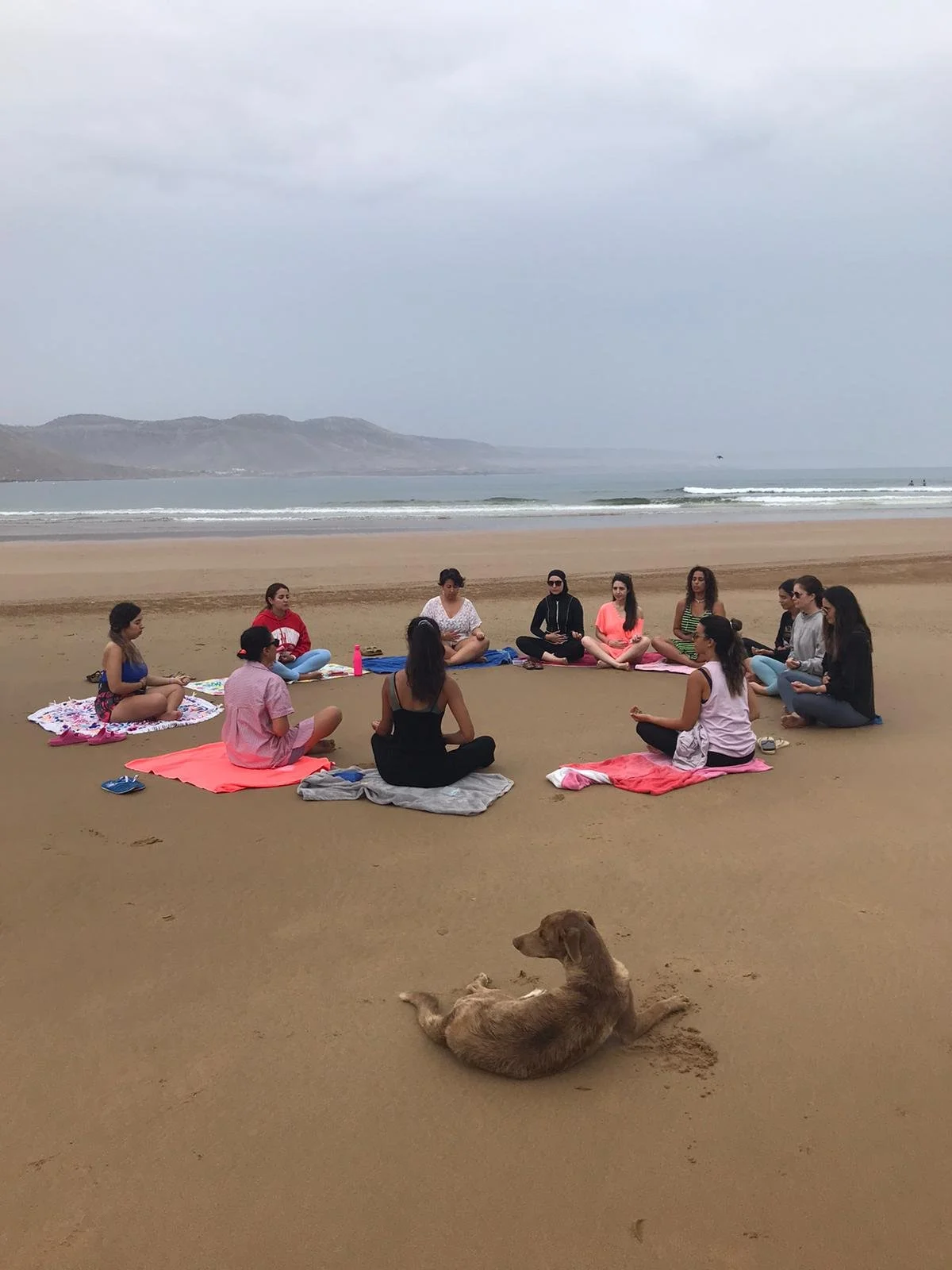 WhatsApp Image 2022-10-19 at 12.48.14.jpeg