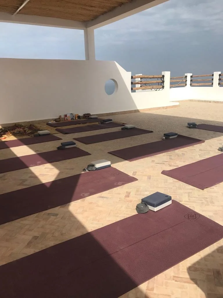 WhatsApp Image 2022-10-19 at 13.00.54.jpeg