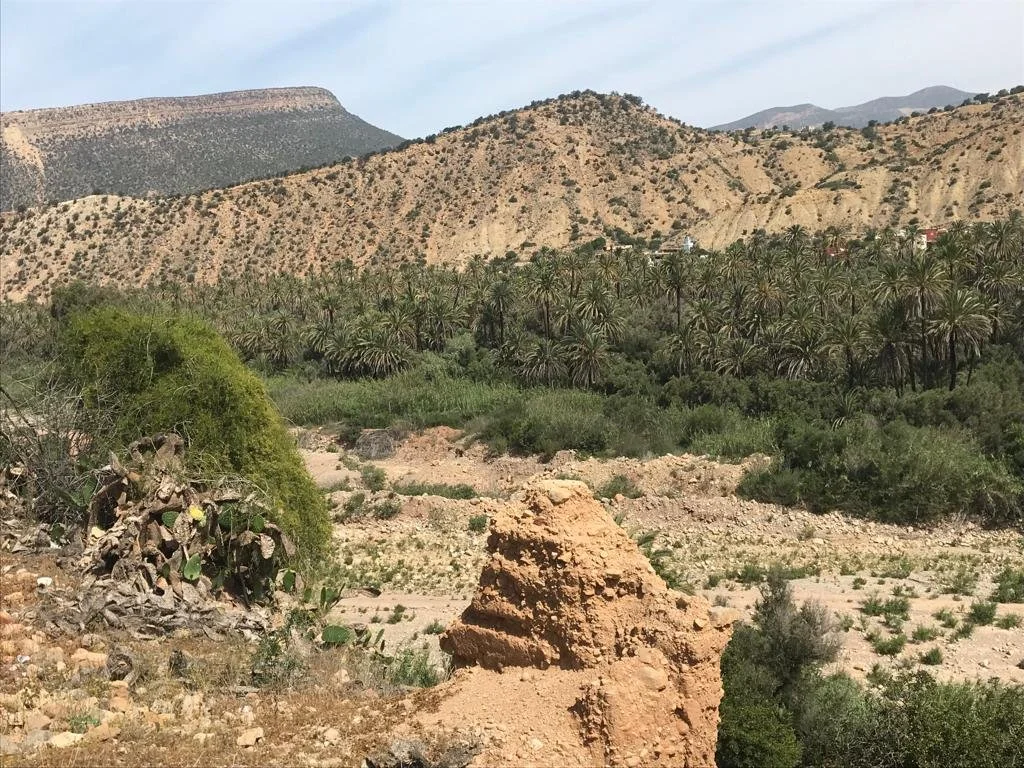 WhatsApp Image 2022-10-19 at 13.00.54 (2).jpeg