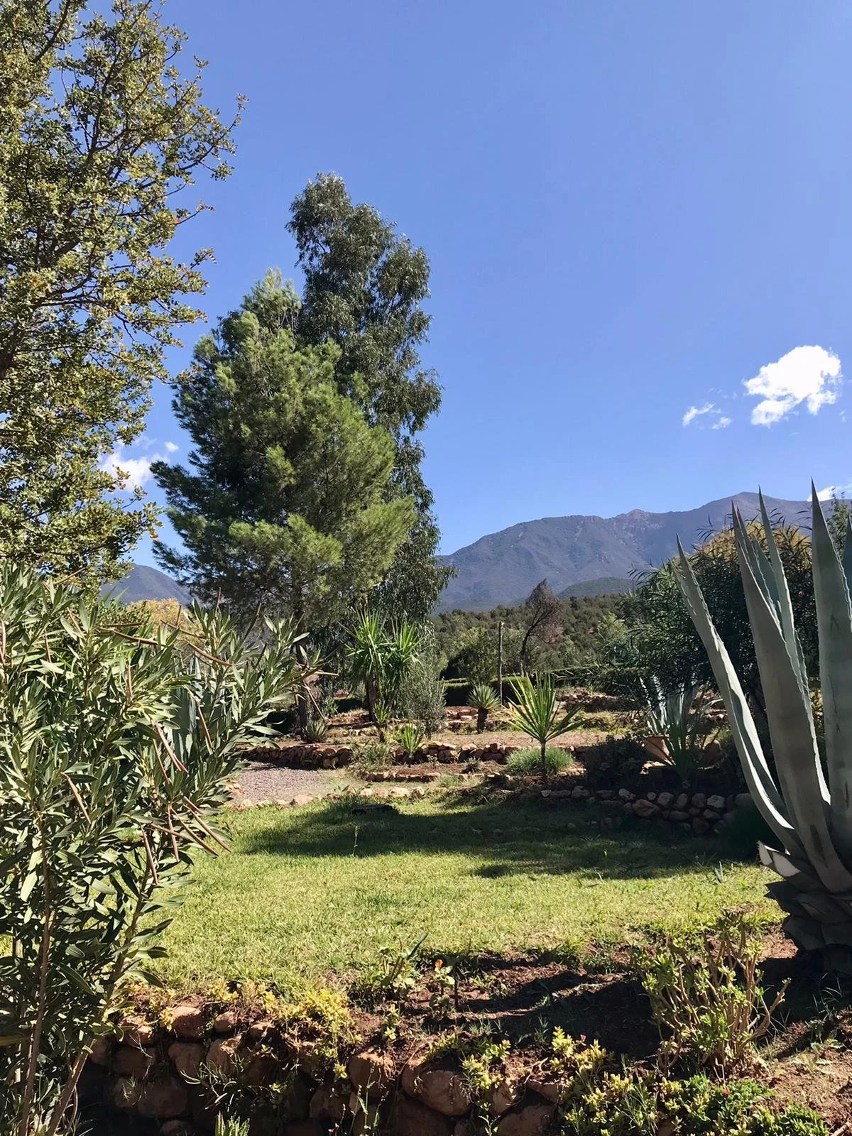 WhatsApp Image 2022-10-19 at 12.48.09.jpeg