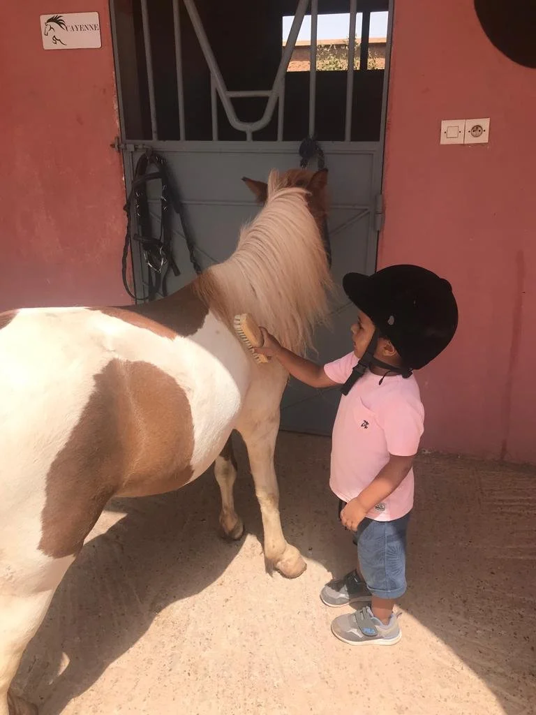 WhatsApp Image 2023-07-26 at 23.25.23 (1).jpeg