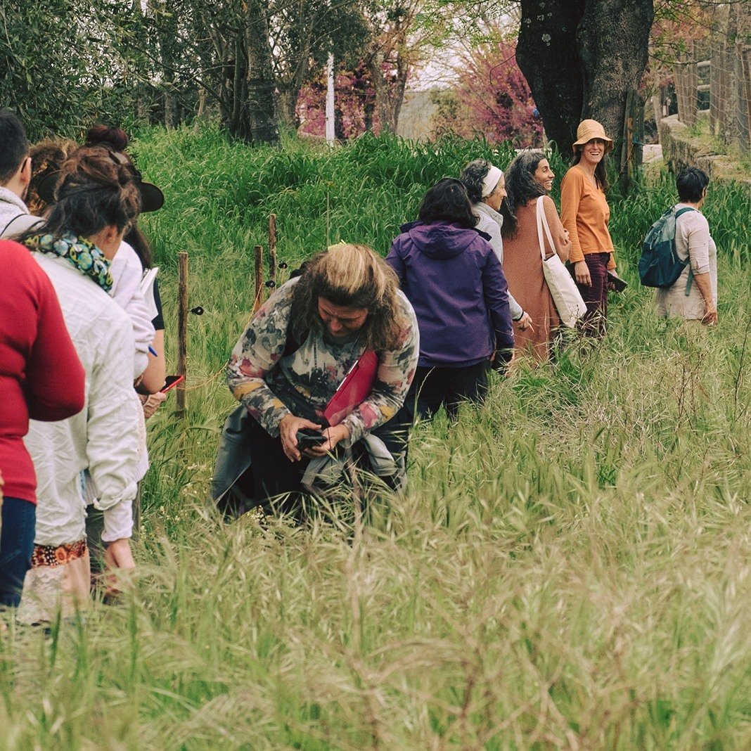 PT [EN below]
🌿&quot;Em algumas l&iacute;nguas nativas, o termo para plantas traduz-se por &quot;aqueles que cuidam de n&oacute;s&quot;. Robin Wall Kimmerer

E foi dia de conhecer quem cuida de n&oacute;s em Idanha-a-Velha, pela m&atilde;o e cora&cc