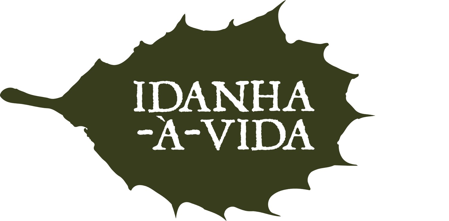 Idanha-à-Vida