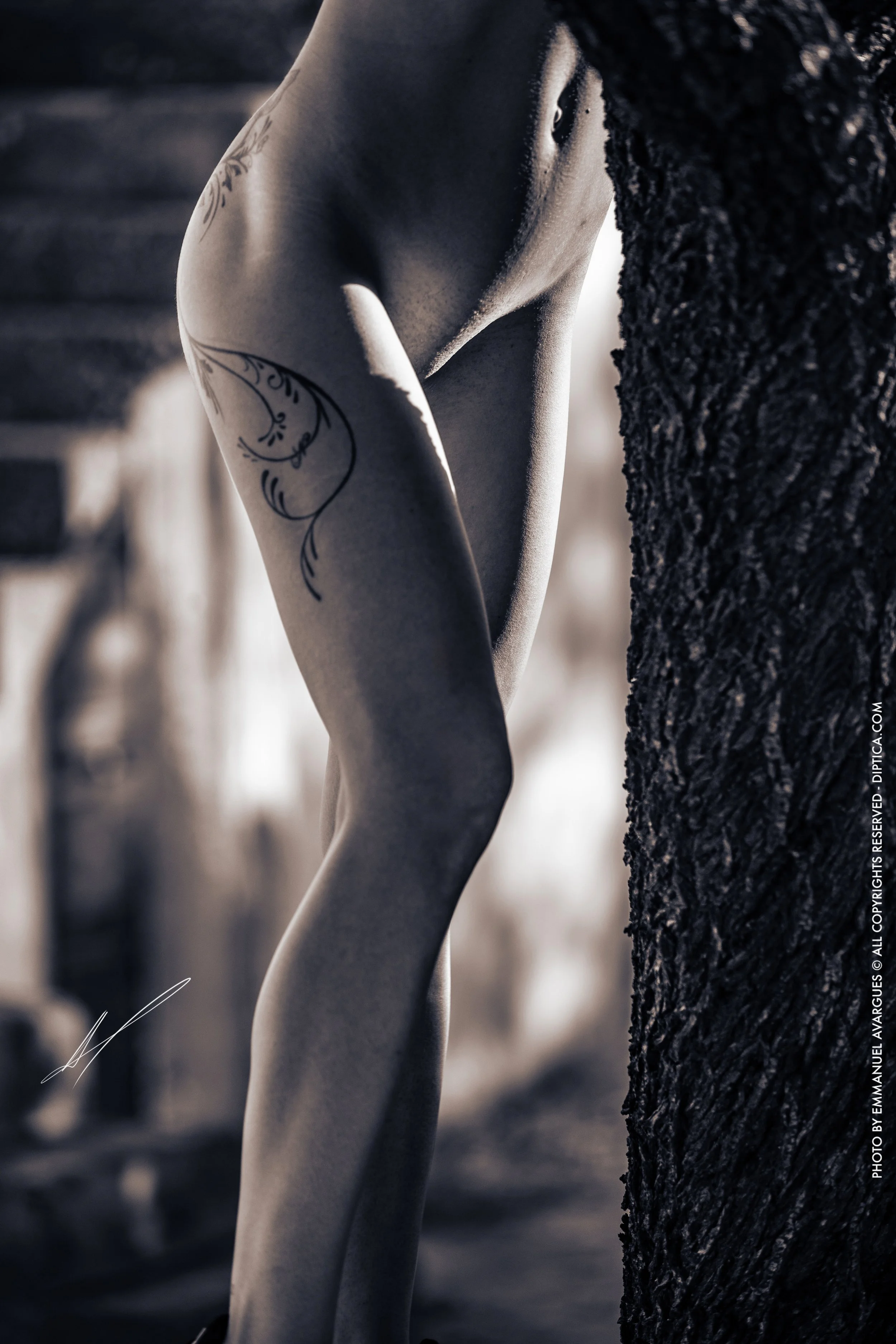 Emmanuel Avargues Angie 8.jpg