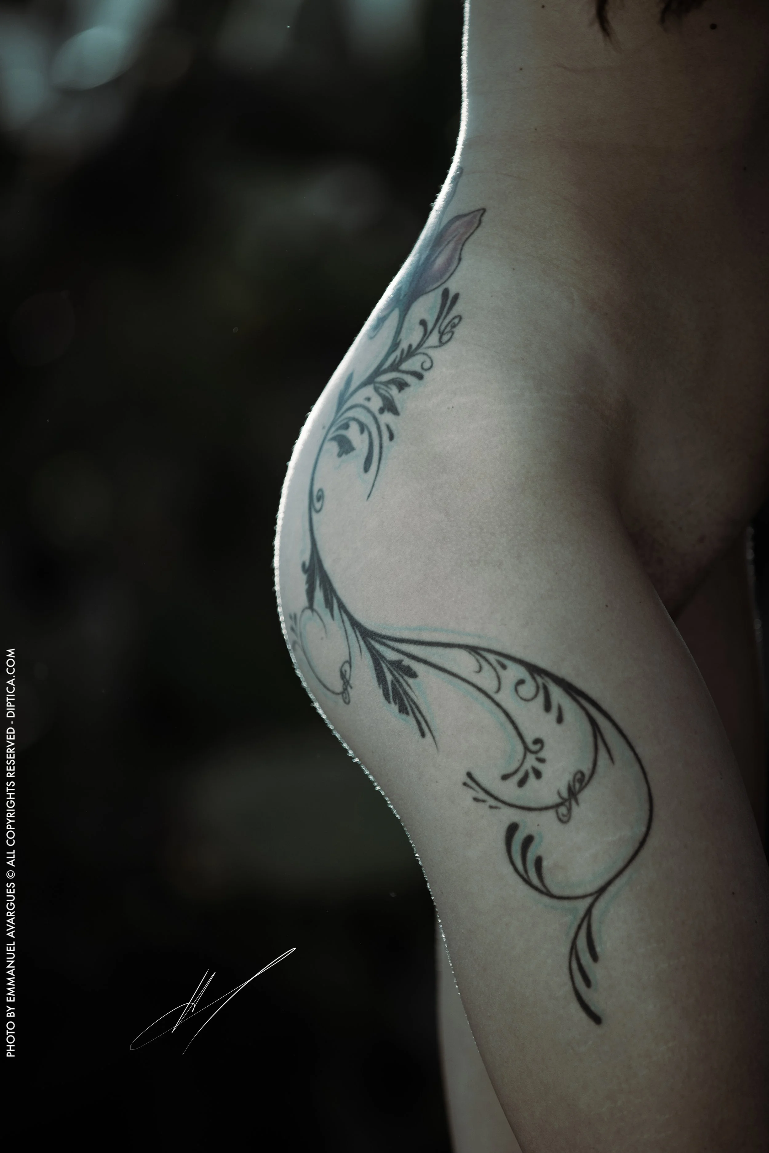 Emmanuel Avargues Angie 6.jpg