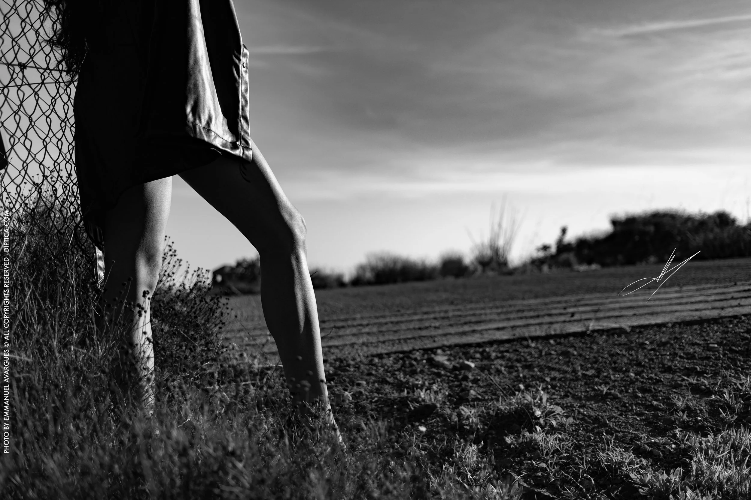 Emmanuel Avargues Angie 5.jpg