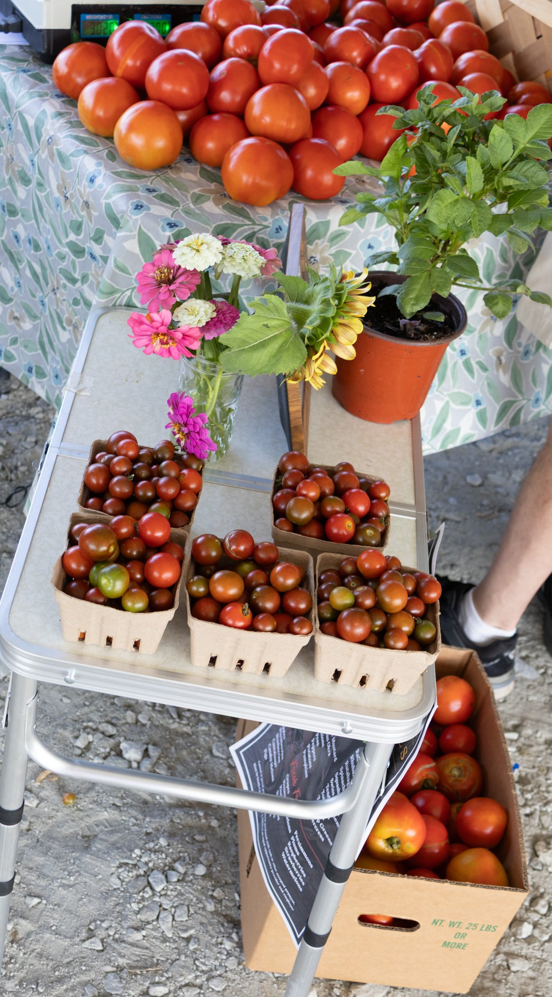 Farmers Market