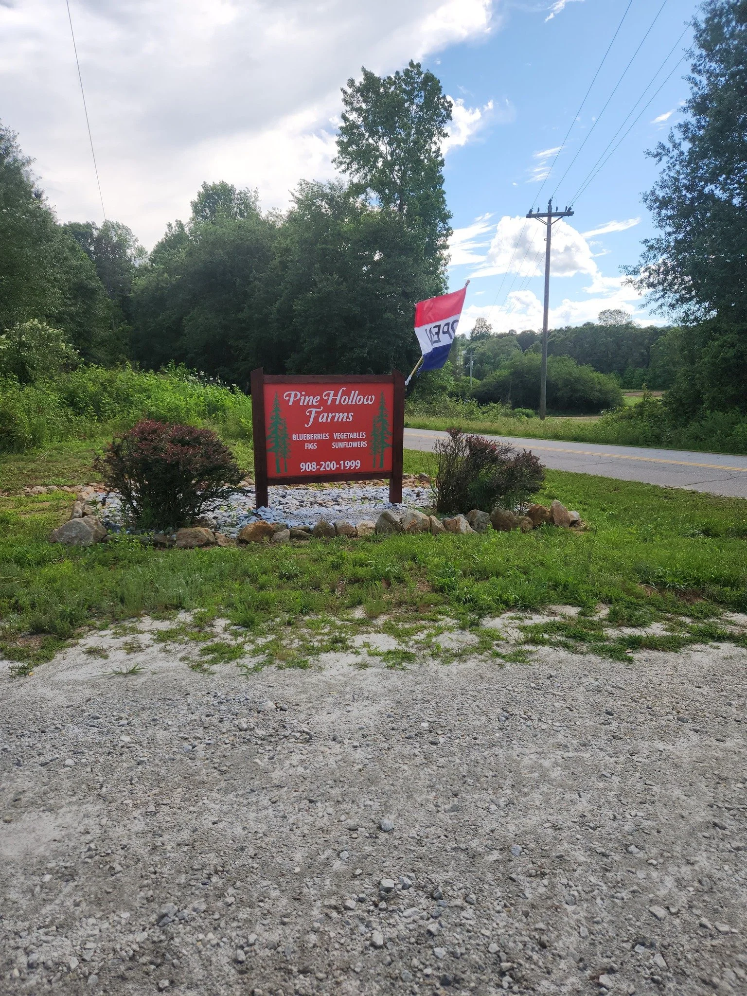 Sign for Pine Hollow Farms advertising blueberries, vegetables, figs, and sunflowers, with a flag and trees in the background.