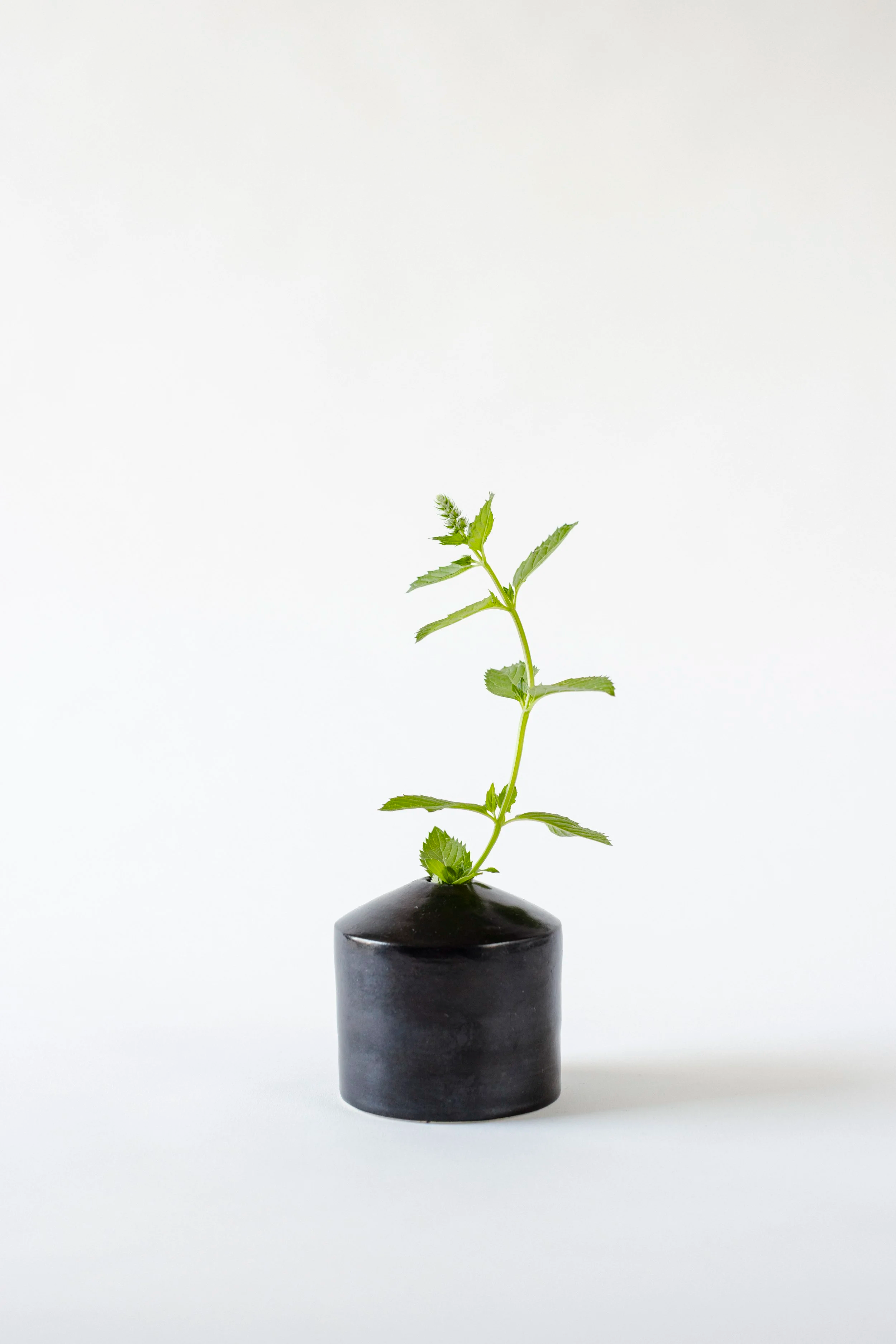 Vase, Höhe 7,5cm
CHF 32