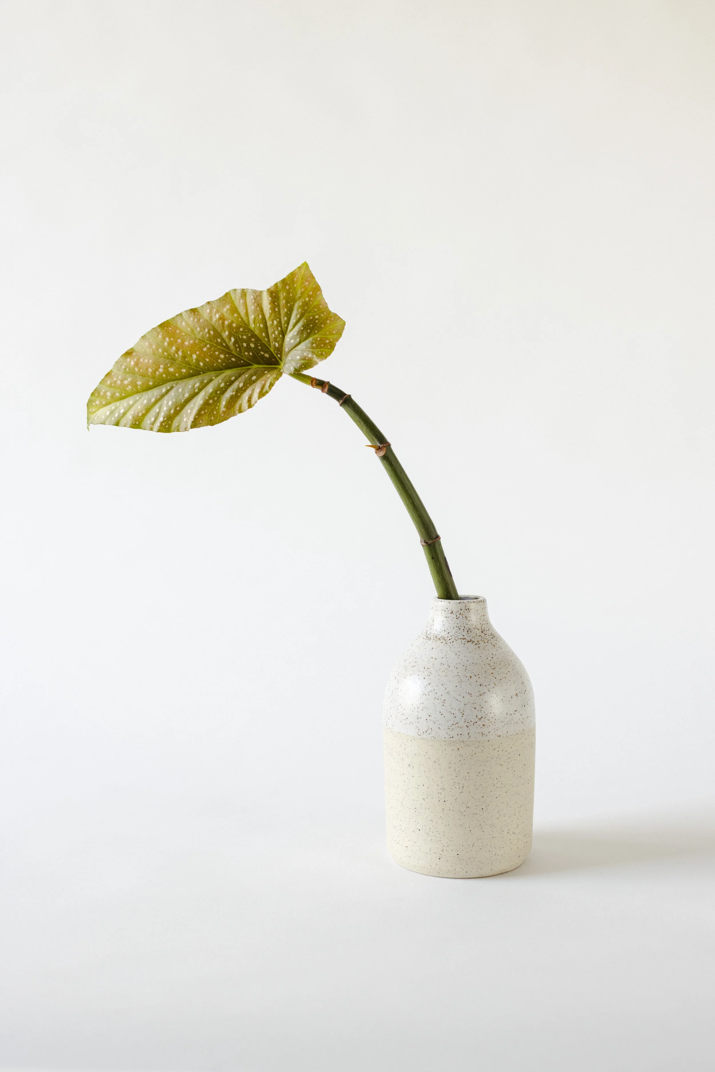Vase, Höhe 14,5cm
CHF 42
