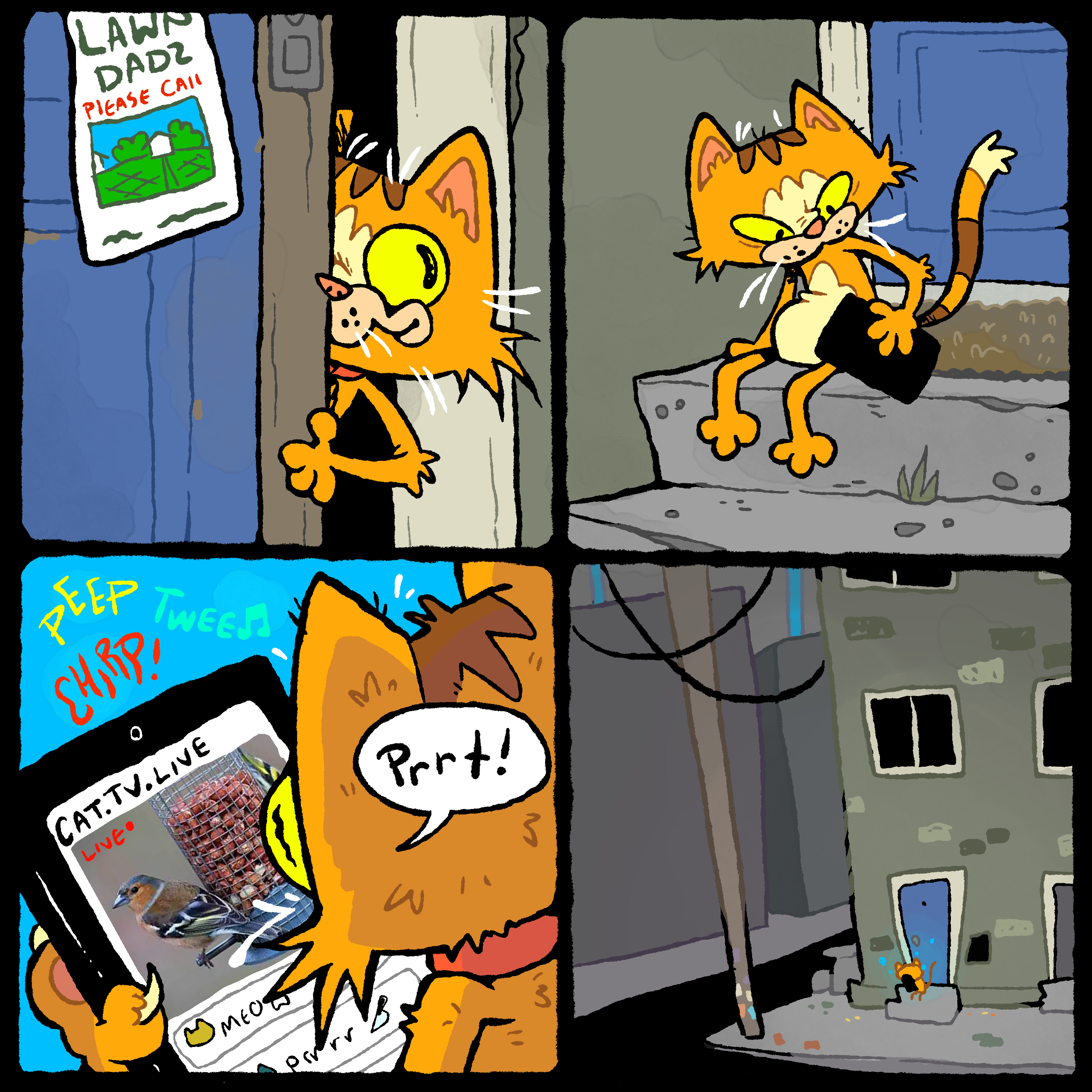 catTV.png