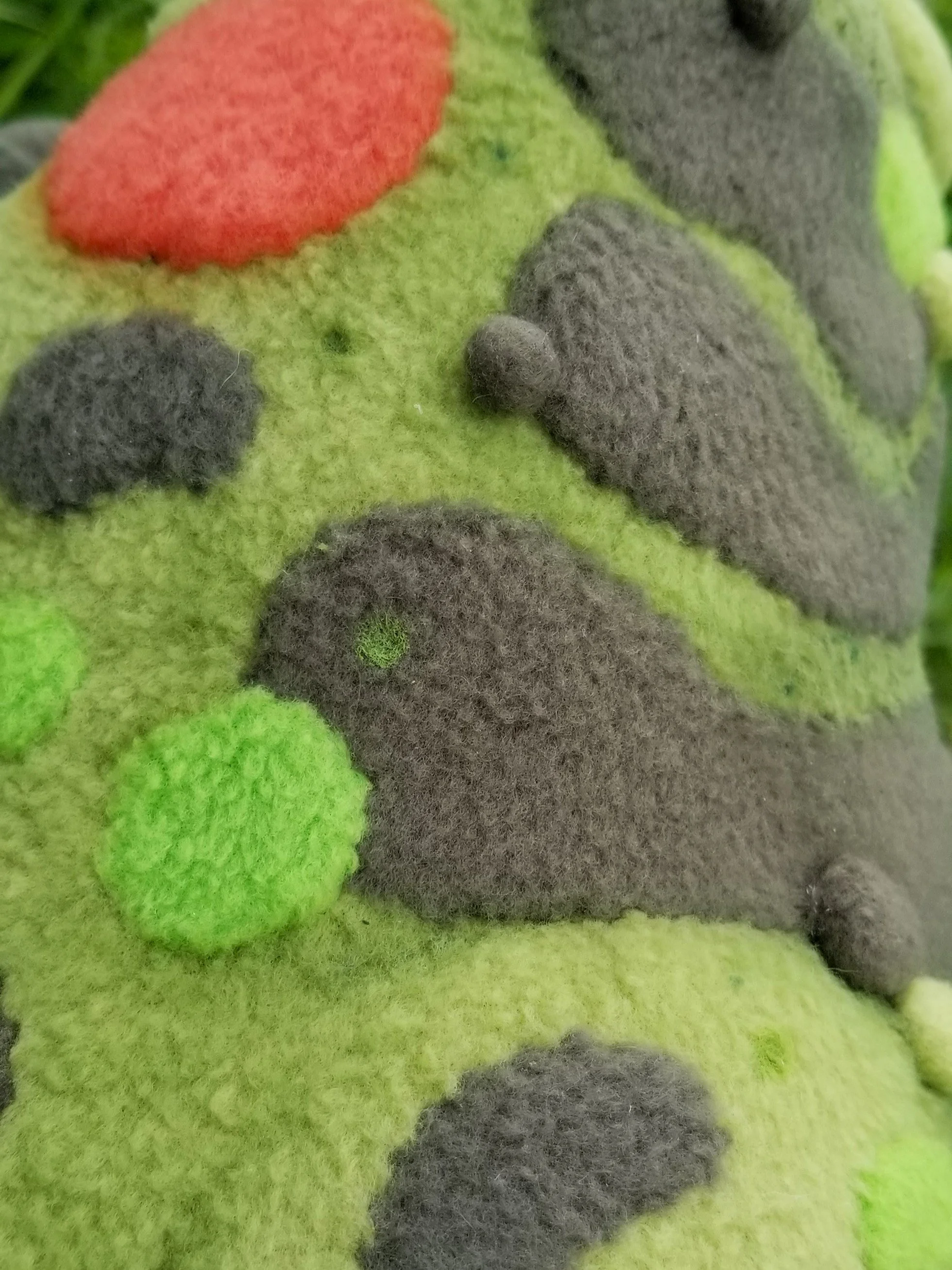 frogspots.jpg