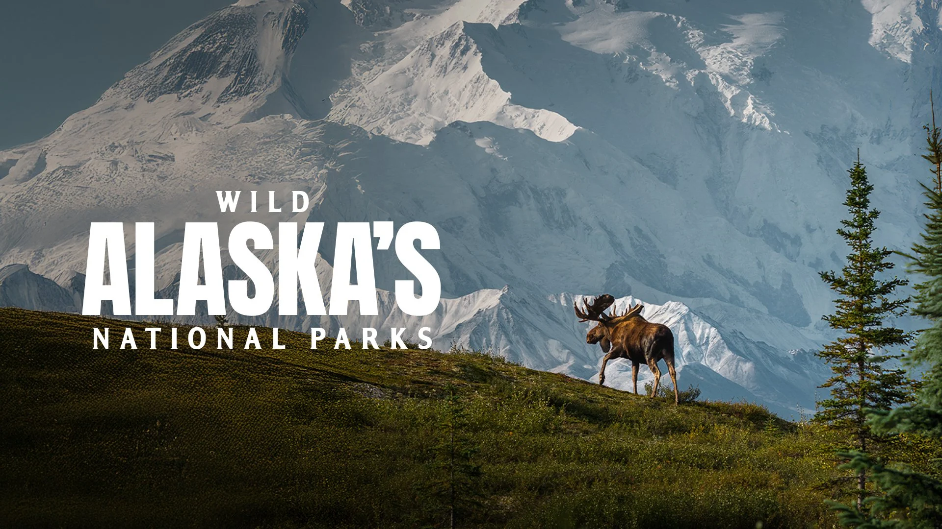 Wild Alaska's National Parks