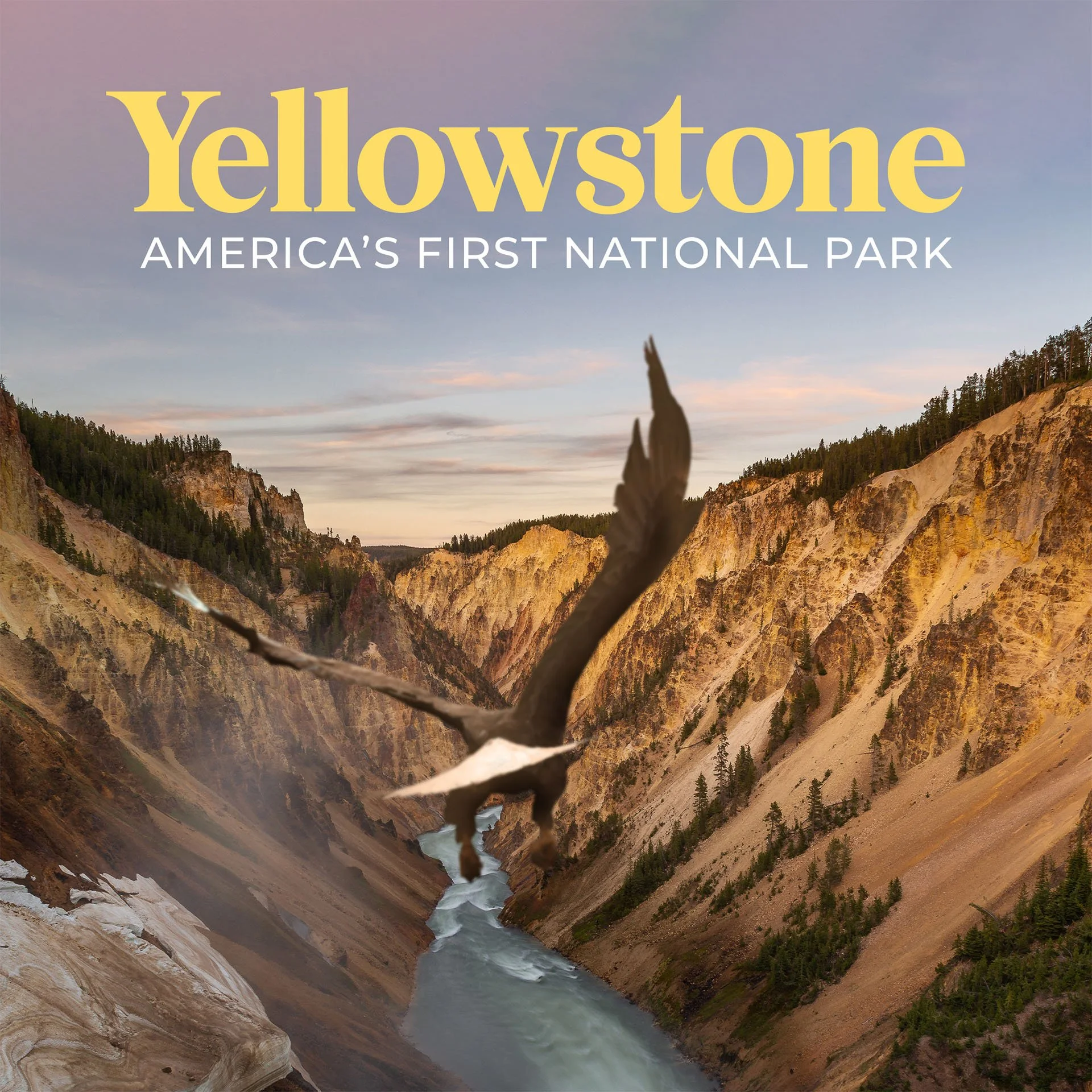 Yellowstone