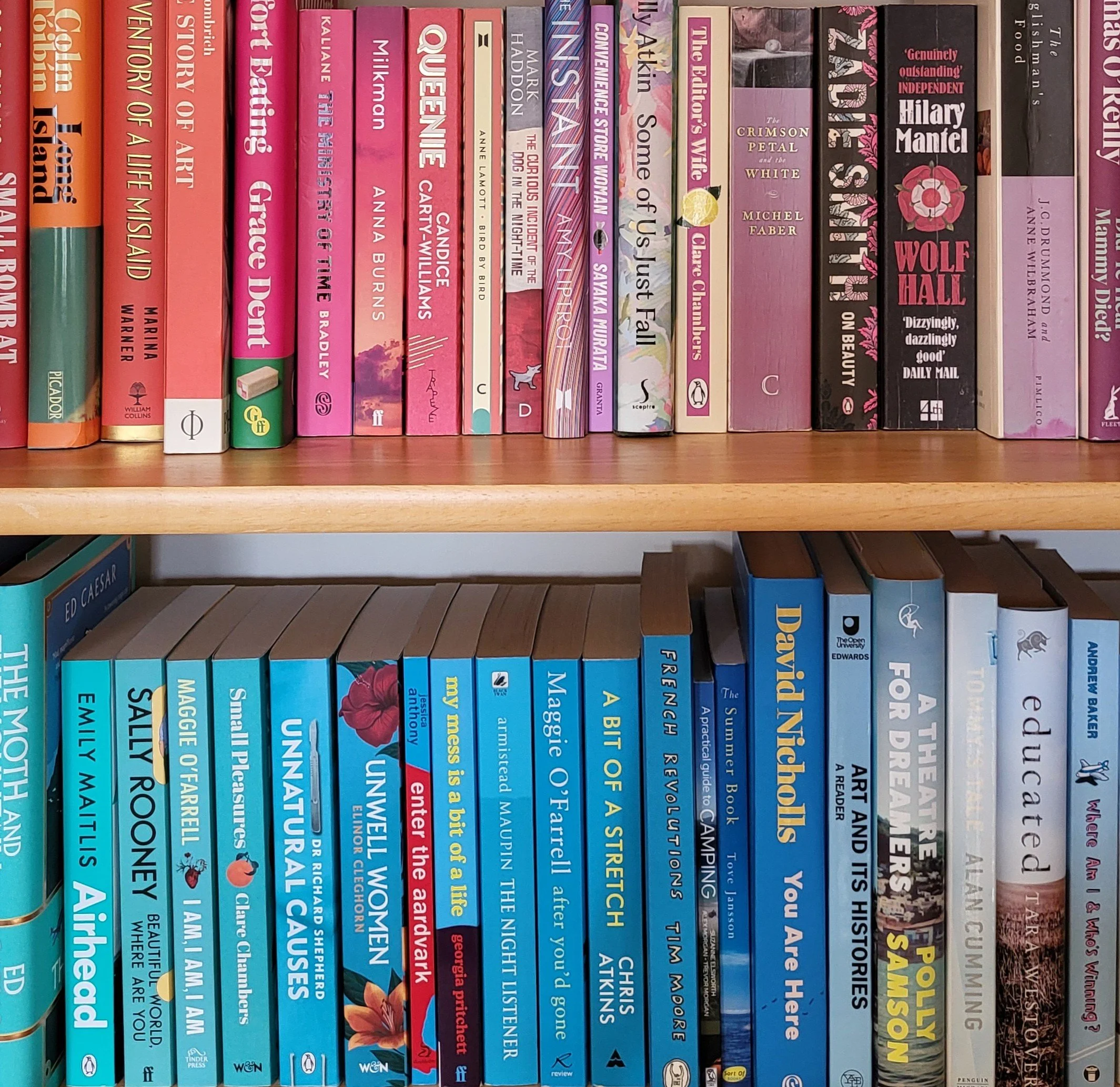 Shelves of pink and blue books arranged by colour