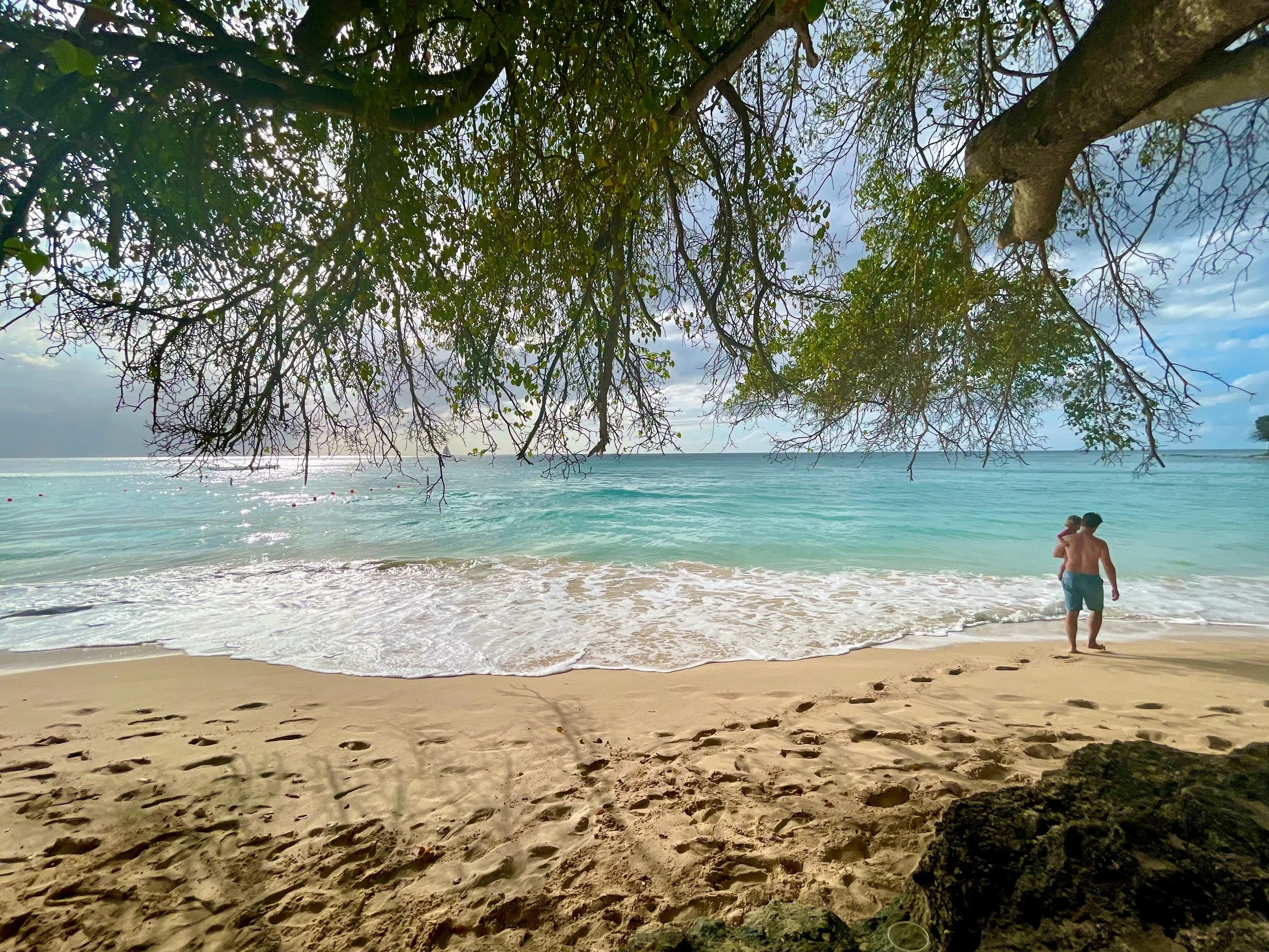 Father and child walking along the shore under shady trees at Batts Rock
