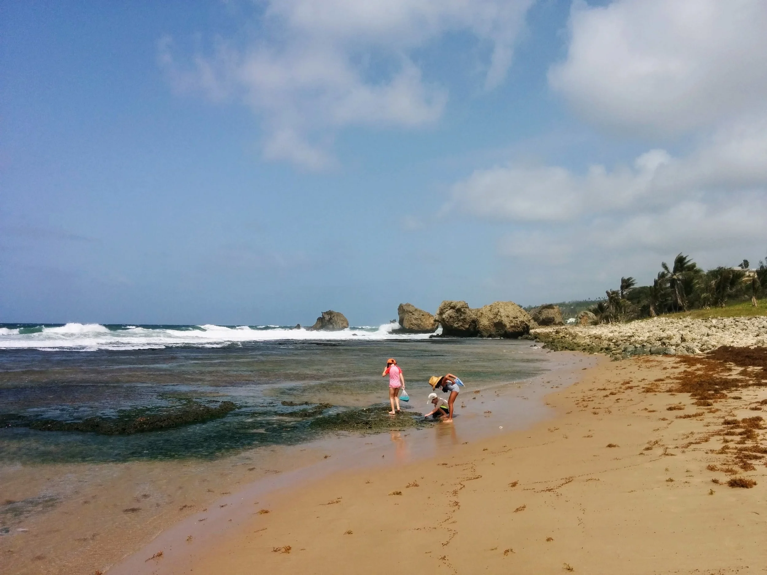Children collecting seashells on Cattlewash Beach, Barbados