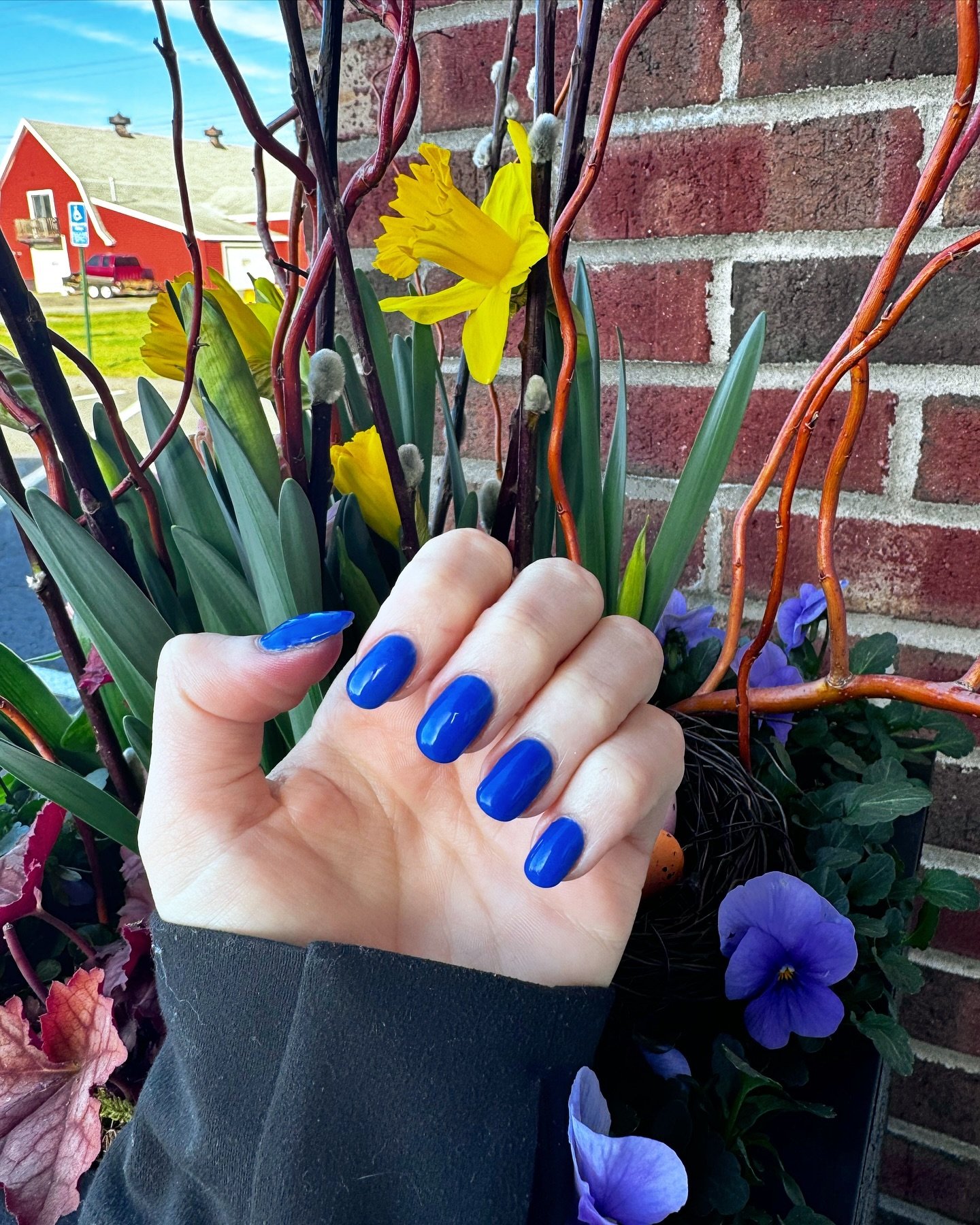 spring nails are here 💙