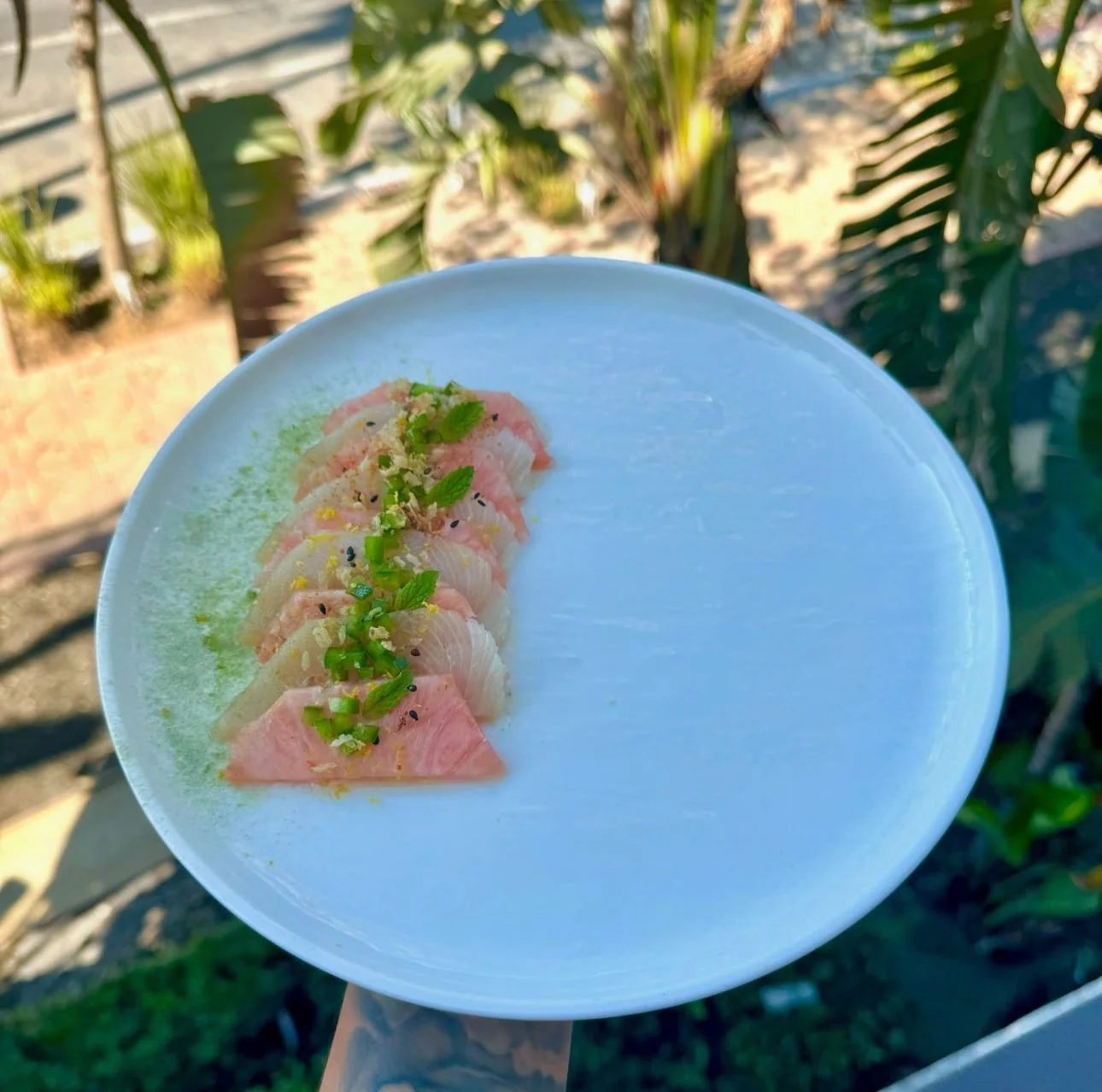 Hamachi Crudo + Pink Pineapple + wasabi Dust