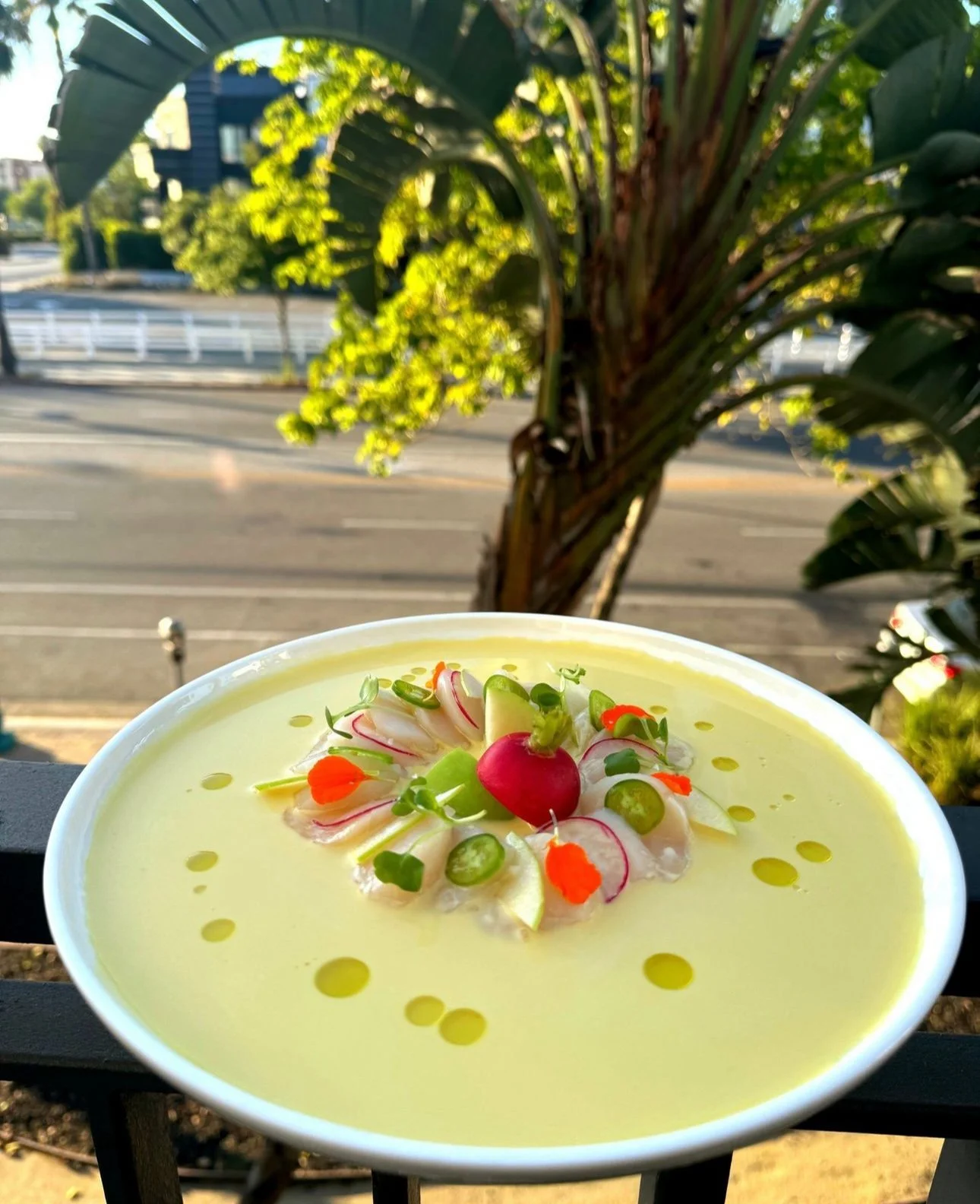 Scallop Crudo 