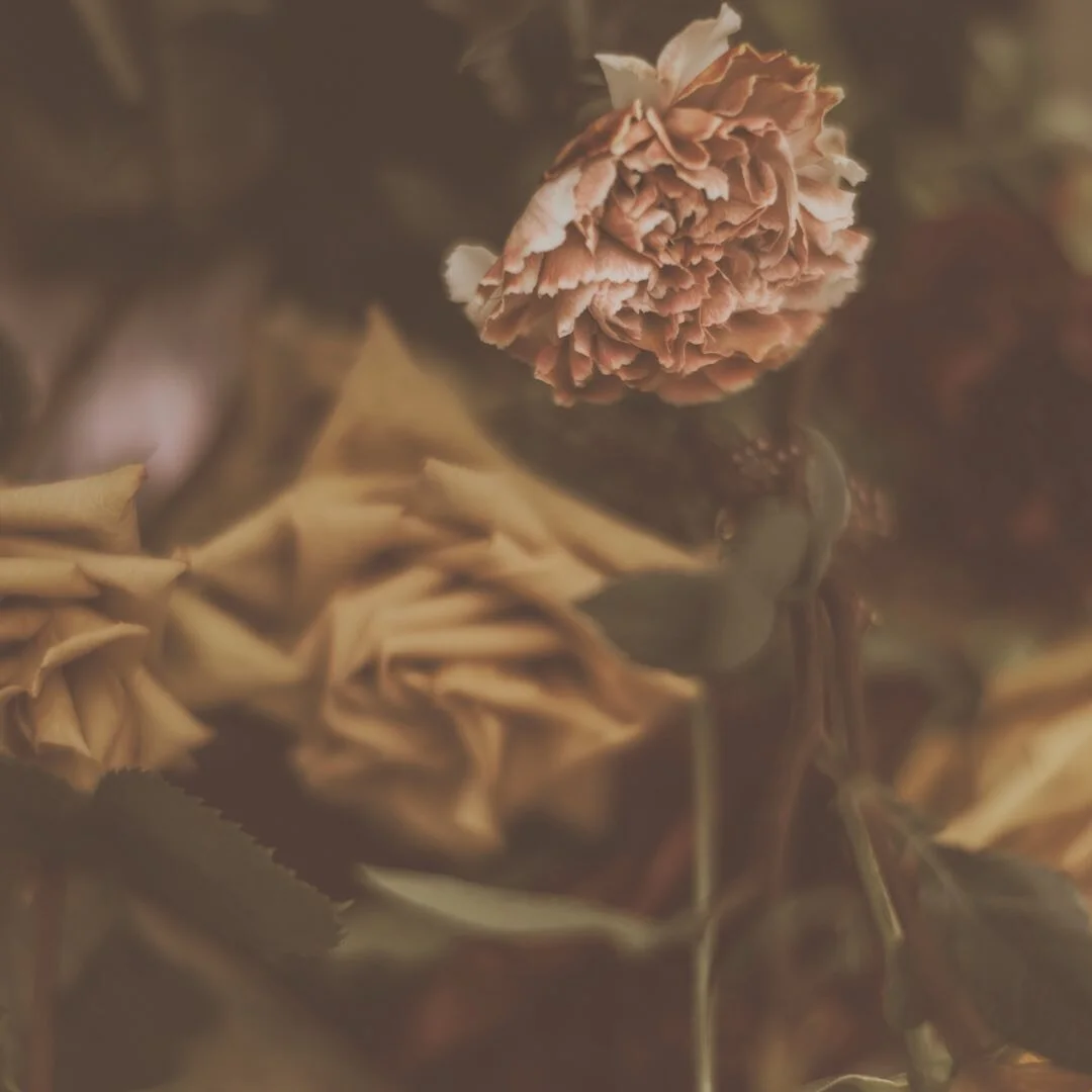 Where are right in the middle of&nbsp;an intense Scorpio eclipse season&nbsp;where rest and introspection are required. A&nbsp;period of retreat is needed.&nbsp;It is time&nbsp;to let all the sticky mud&nbsp;come to&nbsp;surface, to&nbsp;acknowledge,