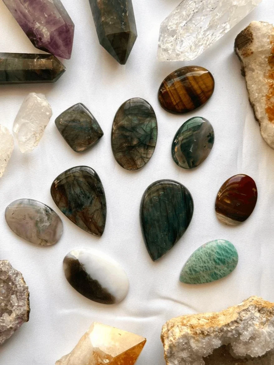 Shells, stone, and rocks laying on the ground