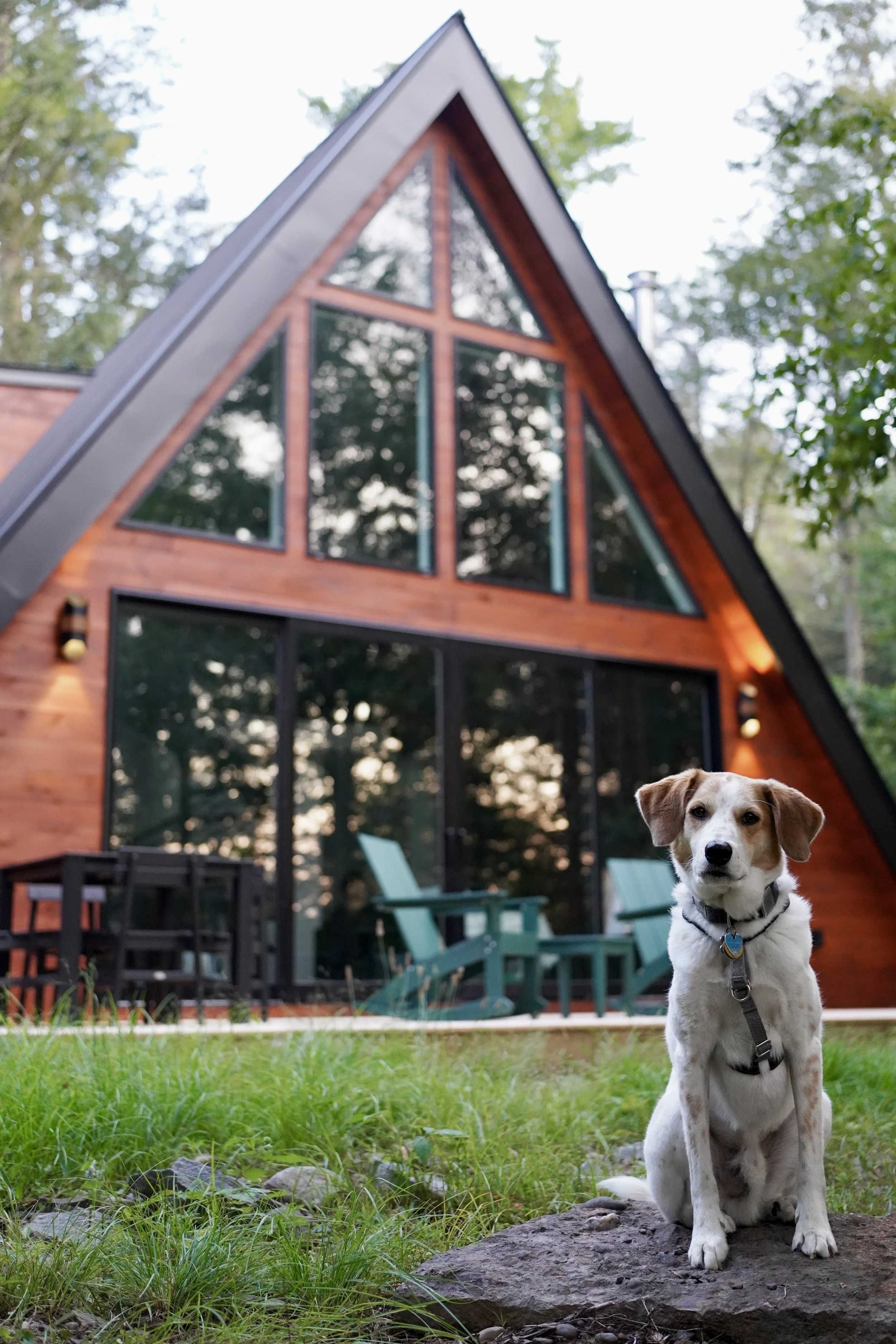 Le Petit Patou Cabin in Tannersville, New York