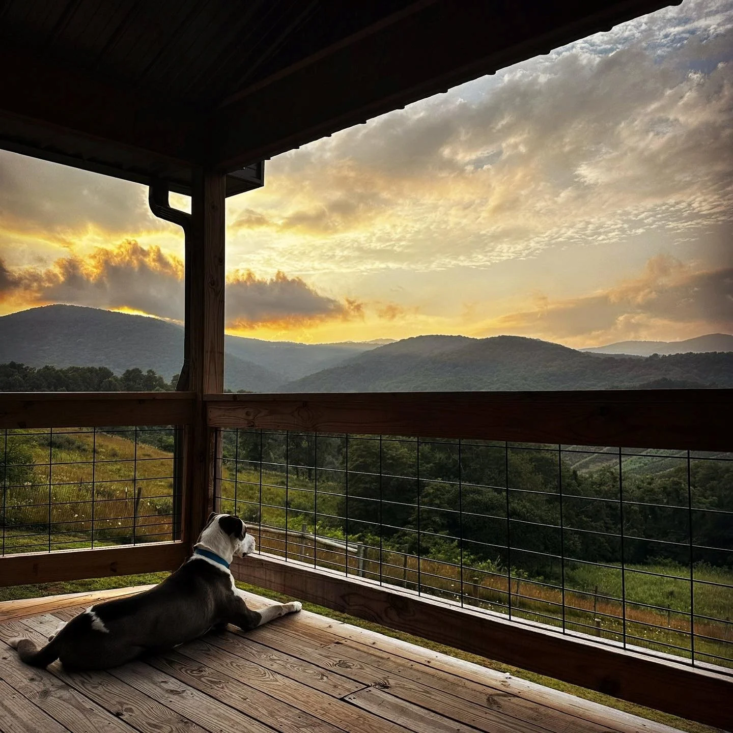 Mountain Top Cabin in Mouth of Wilson, VA- A Dogs Welcome Certified Property 