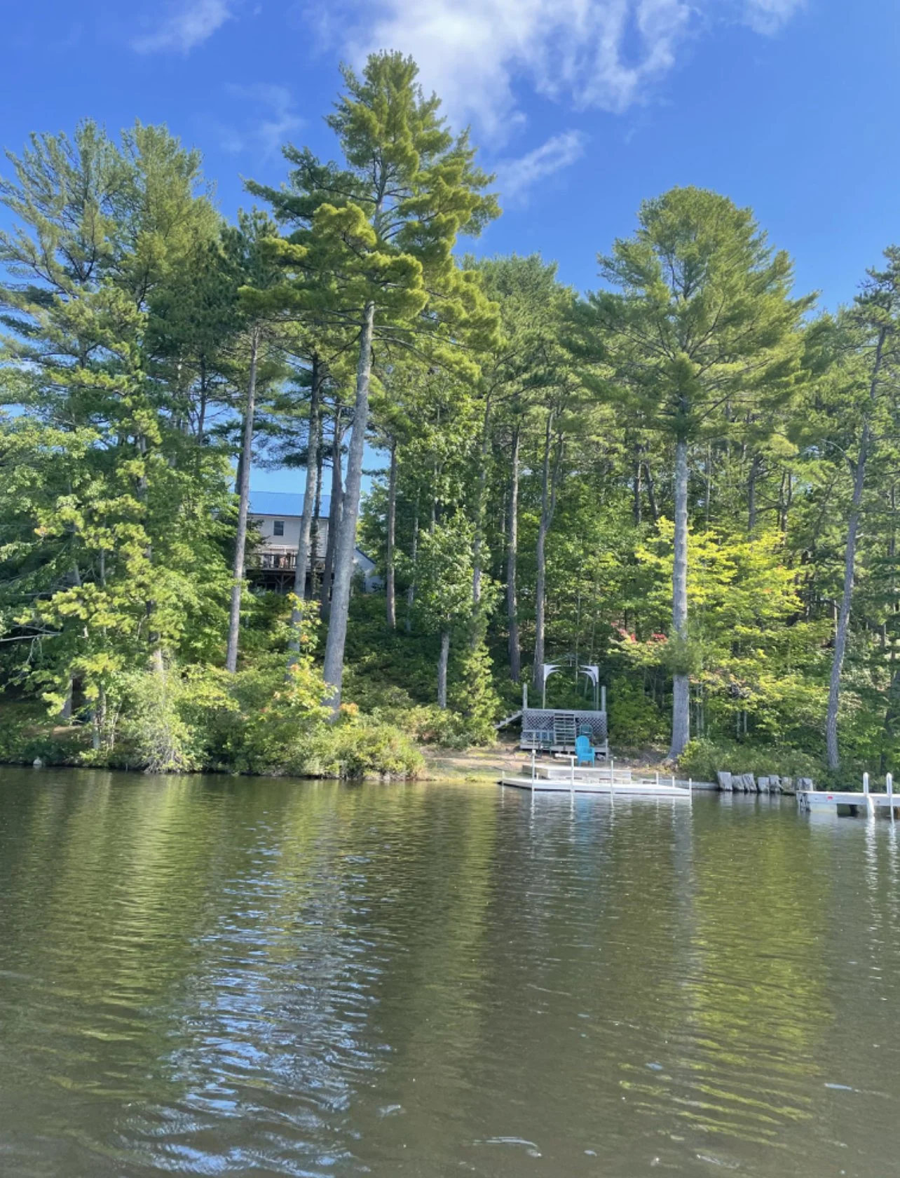 Lakefront Retreat! in East Wakefield, New Hampshire — Dogs