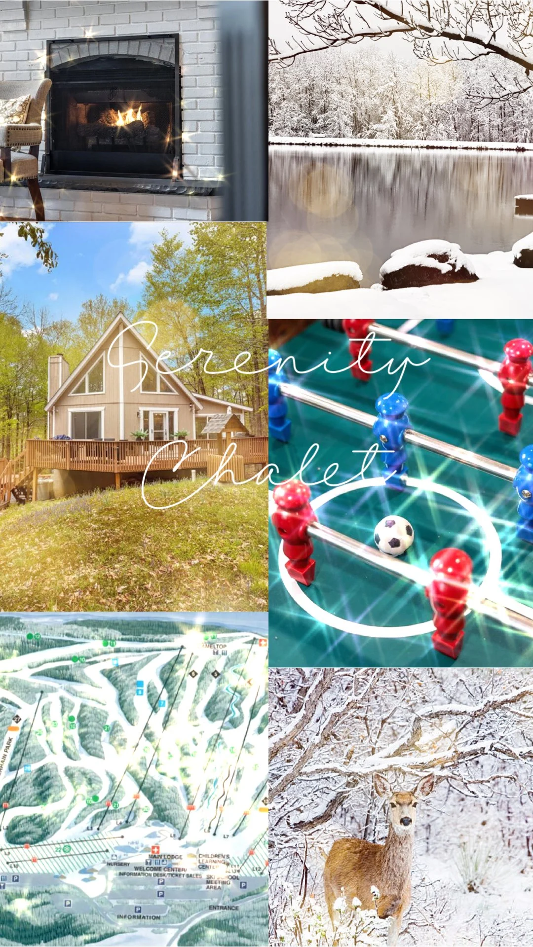Dogs_Welcome_Pet_Friendly_Rentals_Bring_Fido