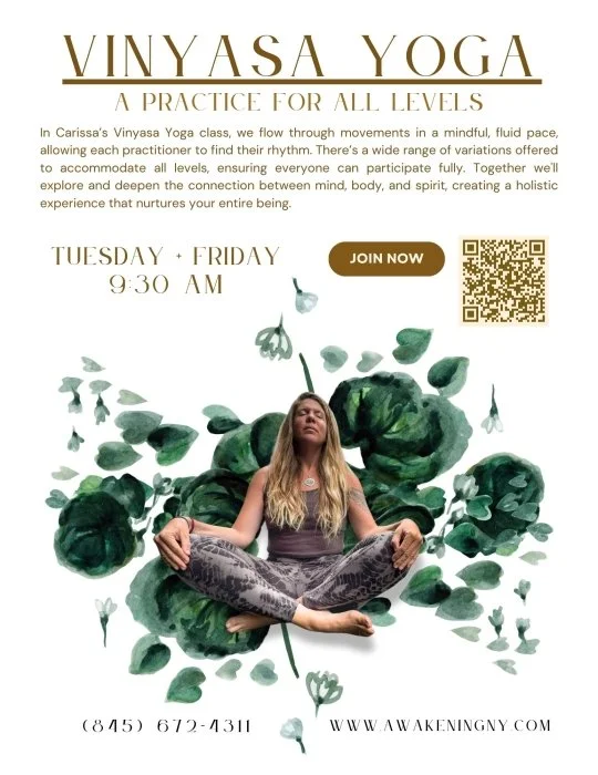 Vinyasa Flow Yoga with Carissa Souza