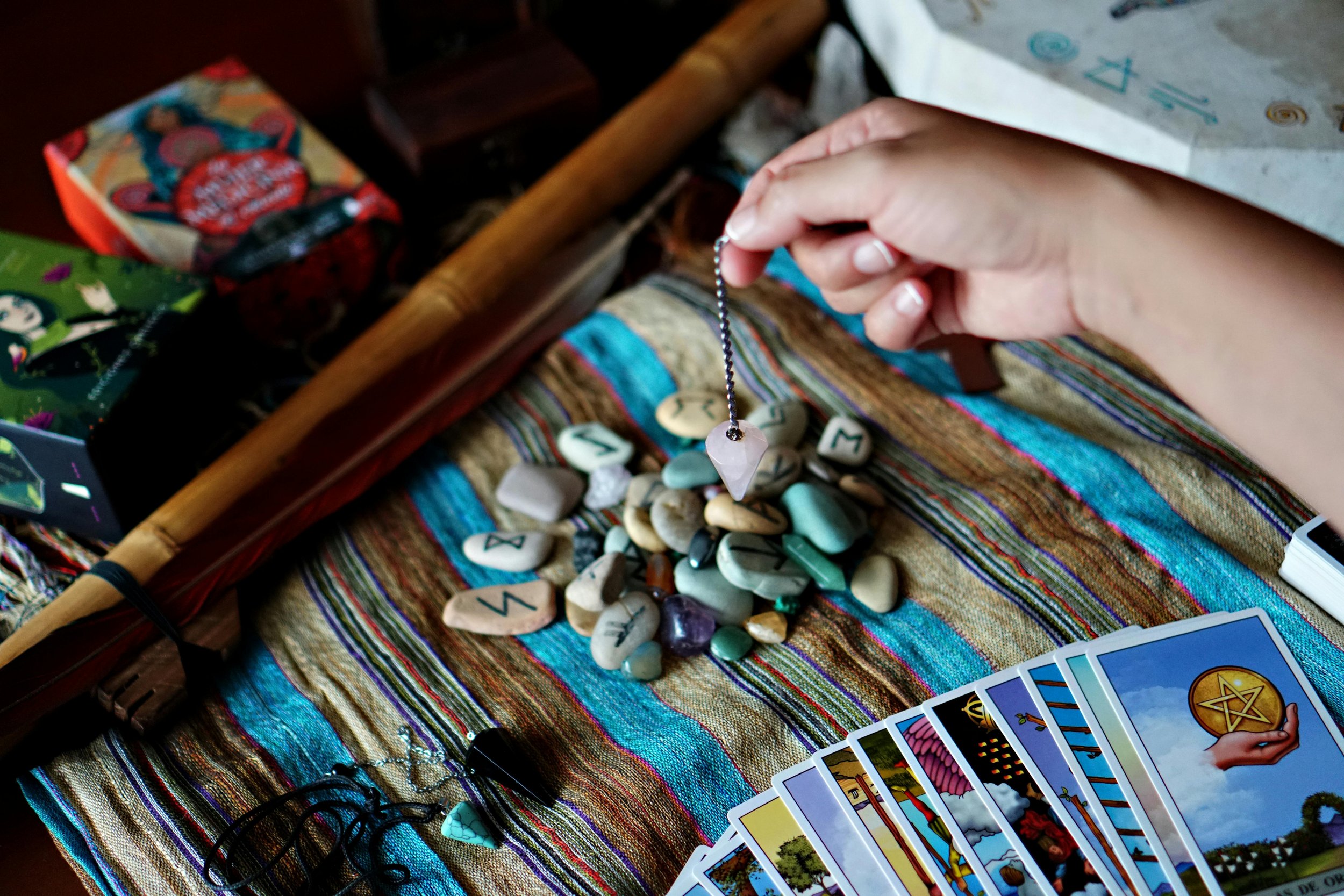 pexels-davegarcia-32771809.jpg