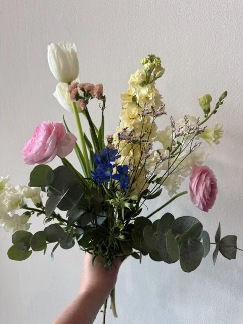 IMG_2310.jpeg