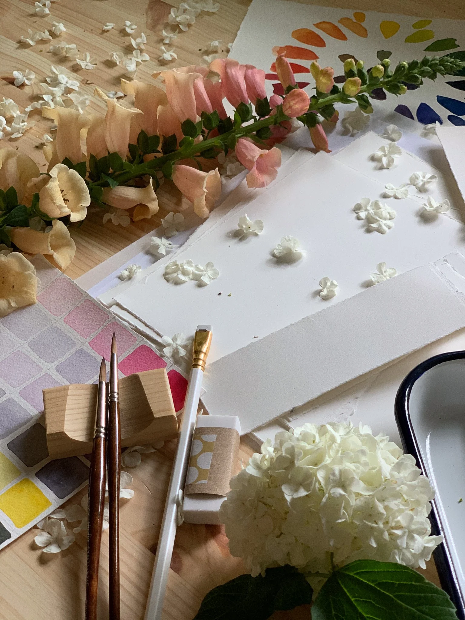 Cummings_demo (2).jpg